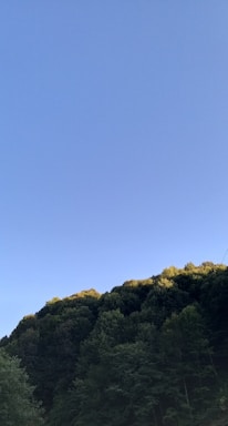 A serene view of the hilltop resort site with lush greenery under a clear blue sky.