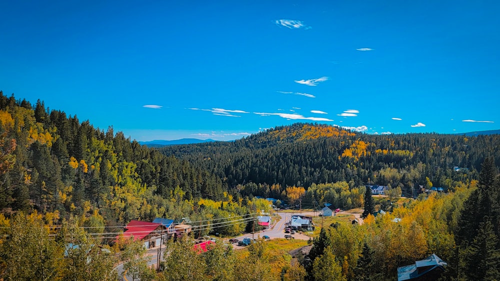 a scenic view of a town surrounded by trees