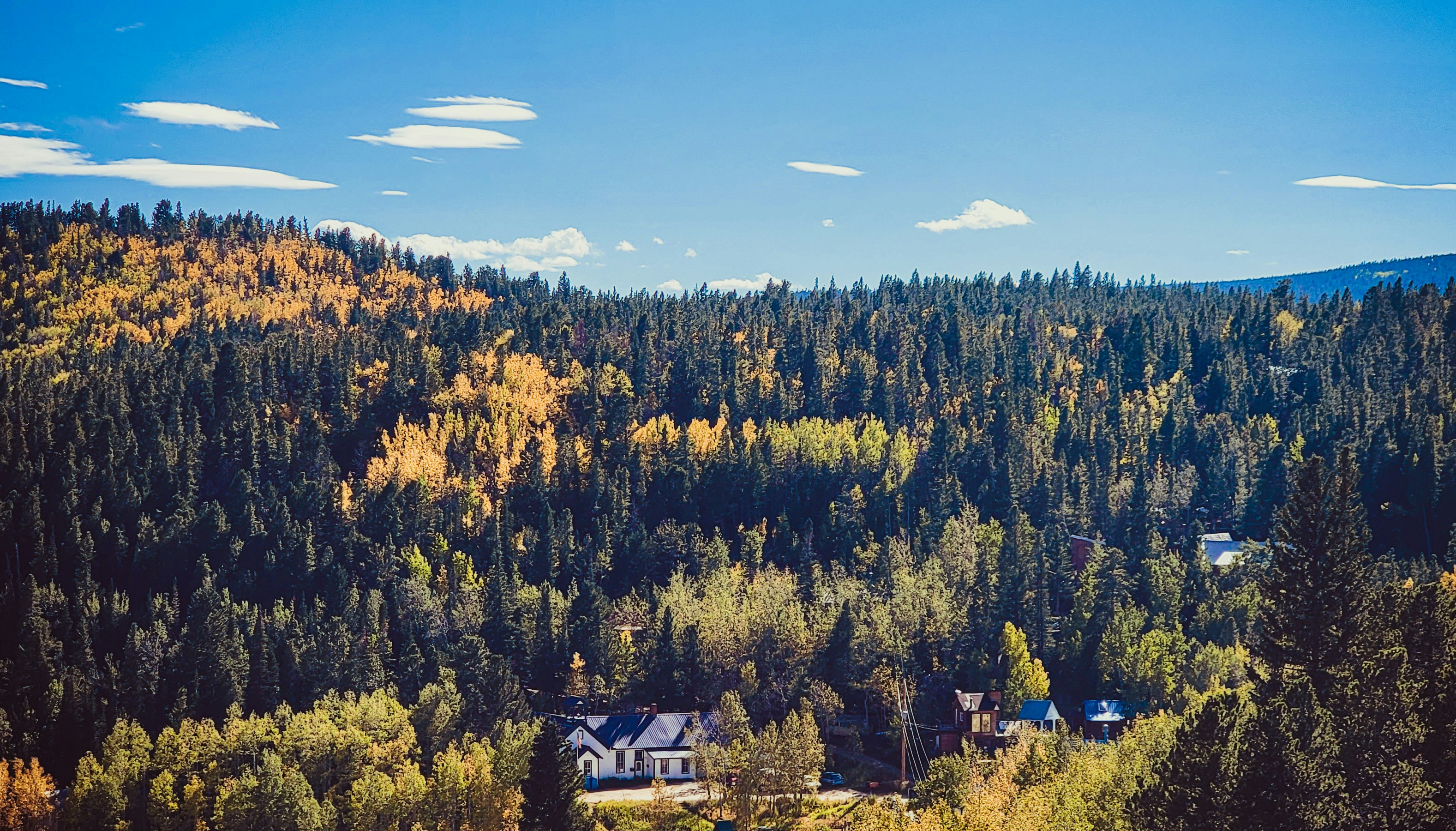 a house in the middle of a forest
