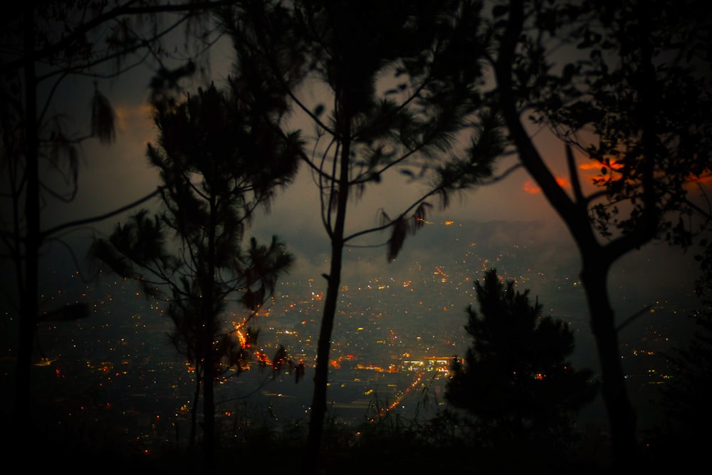 a view of the city lights from a distance