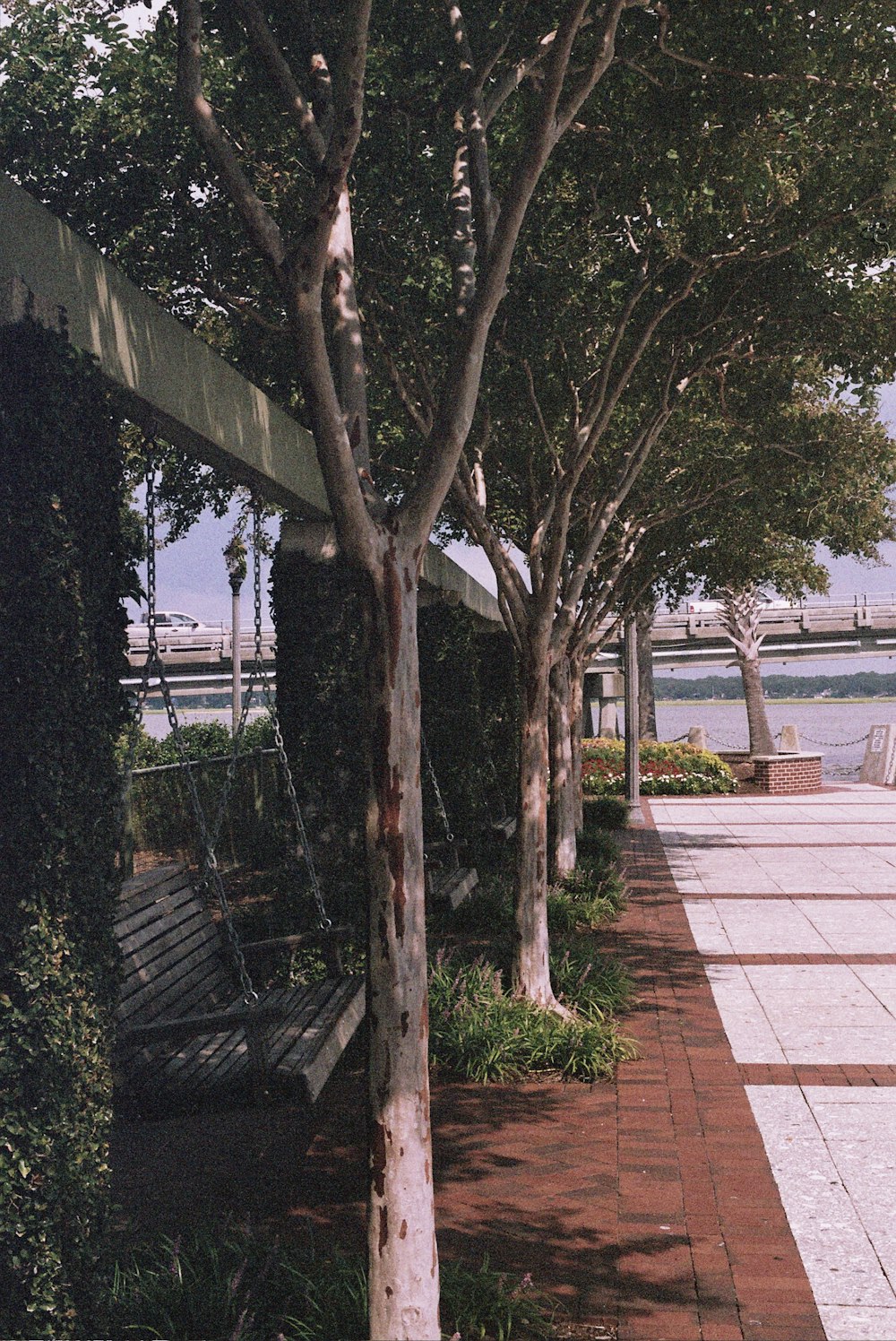 a park bench sitting next to a row of trees