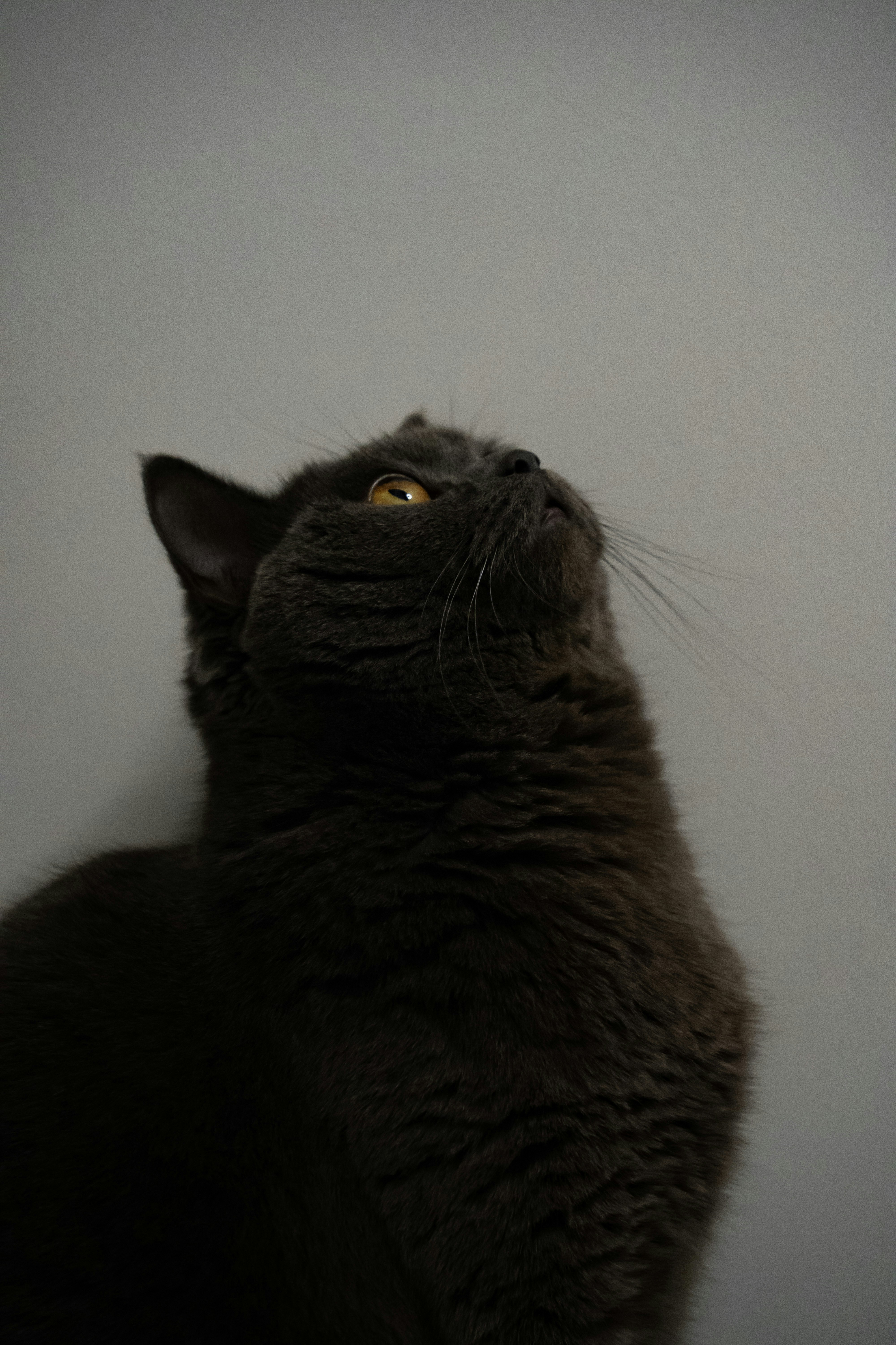 Photo by williamvan91