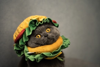 A grey-furred cat with bright yellow eyes is dressed in a humorous hamburger costume, complete with layers representing lettuce, cheese, and bun. The background is a soft, neutral color, bringing attention to the cat's playful attire.