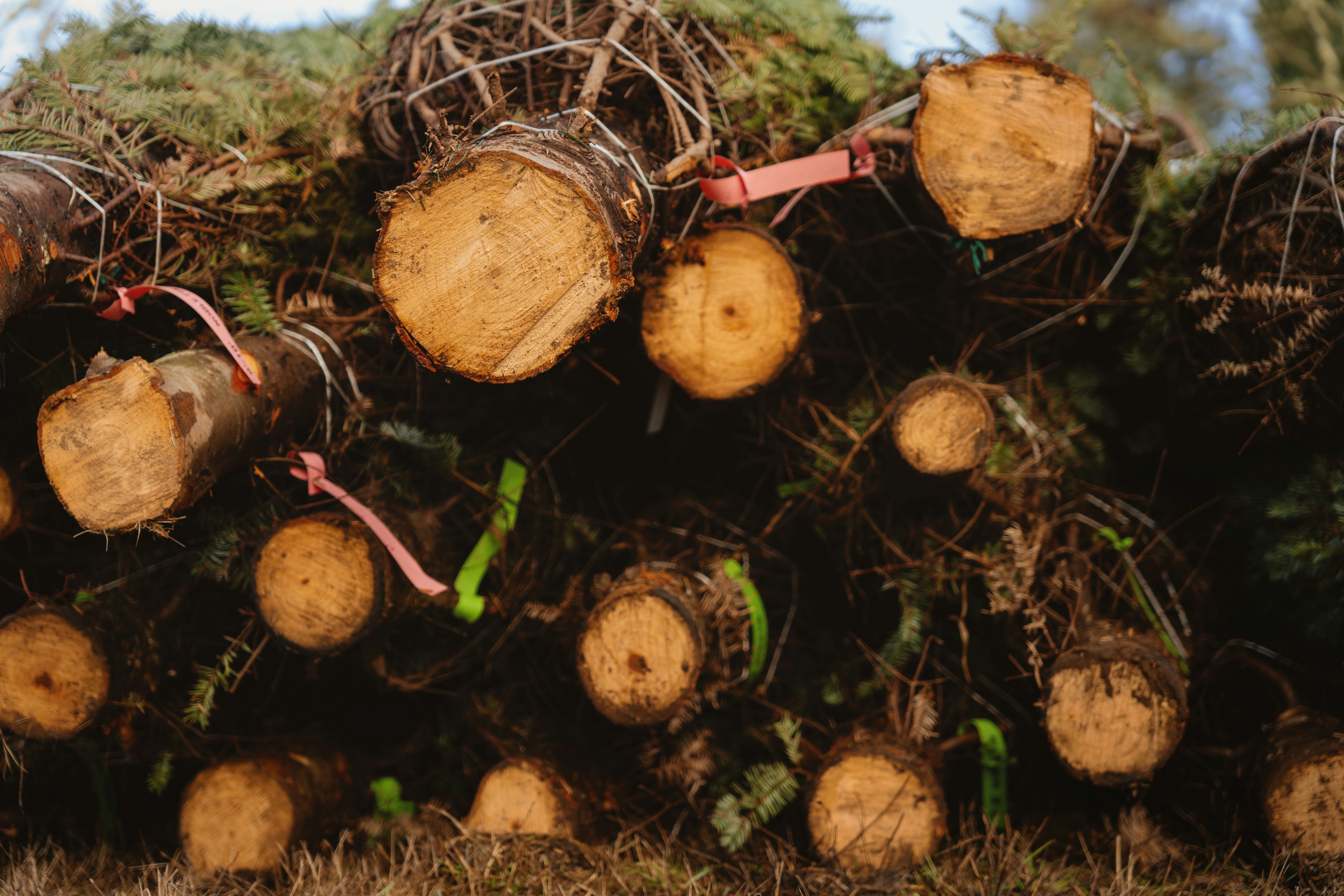 Photo by shots_by_sophia