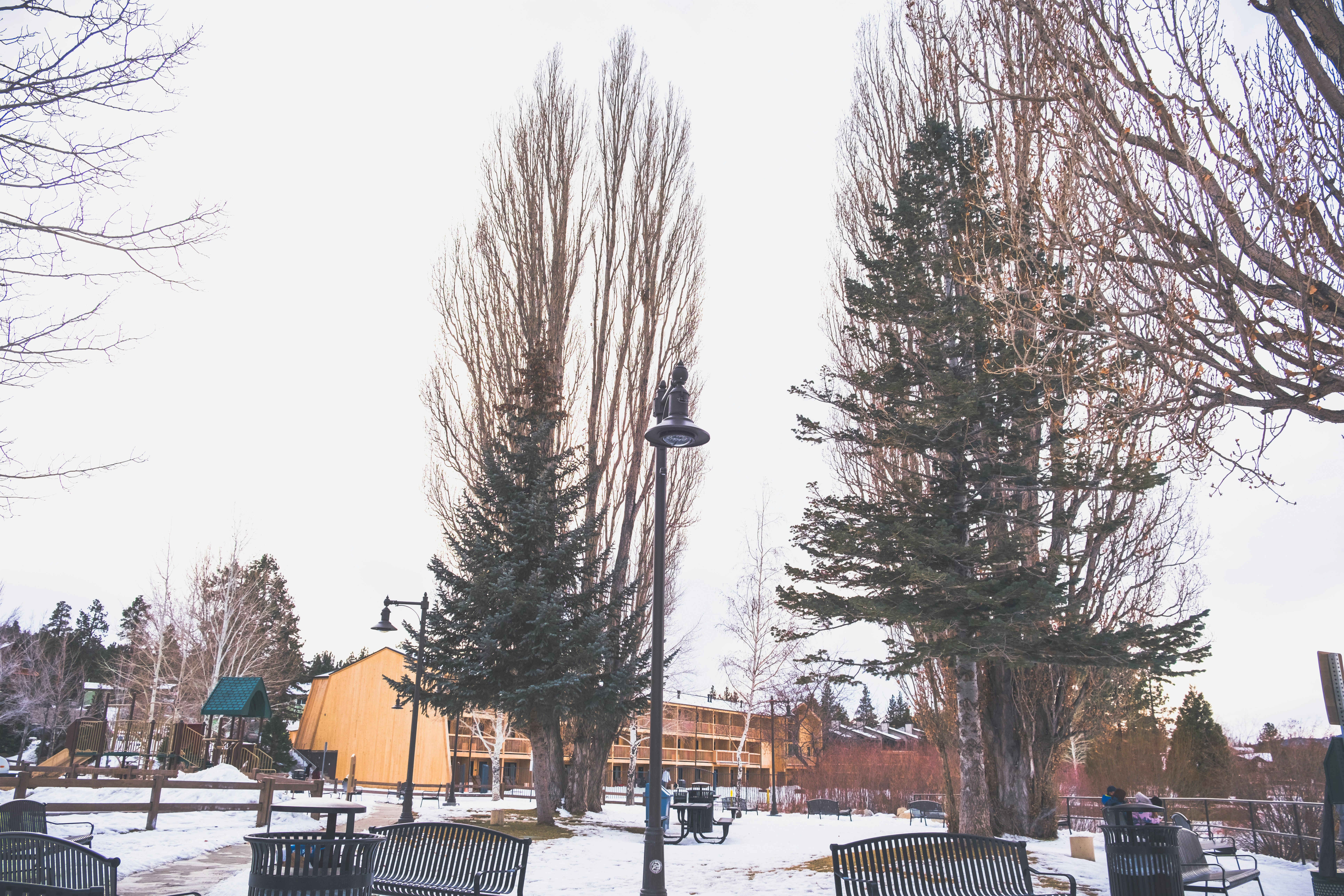 Photo by april_vasquez