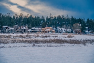 A row of houses nestled against a backdrop of dense, evergreen forest with a snowy landscape in the foreground. The sky is overcast, casting a calm atmosphere over the scene. The architecture of the houses varies, featuring pitched roofs and large windows, some with snow accumulated on them.