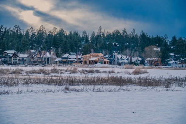 A row of houses nestled against a backdrop of dense, evergreen forest with a snowy landscape in the foreground. The sky is overcast, casting a calm atmosphere over the scene. The architecture of the houses varies, featuring pitched roofs and large windows, some with snow accumulated on them.