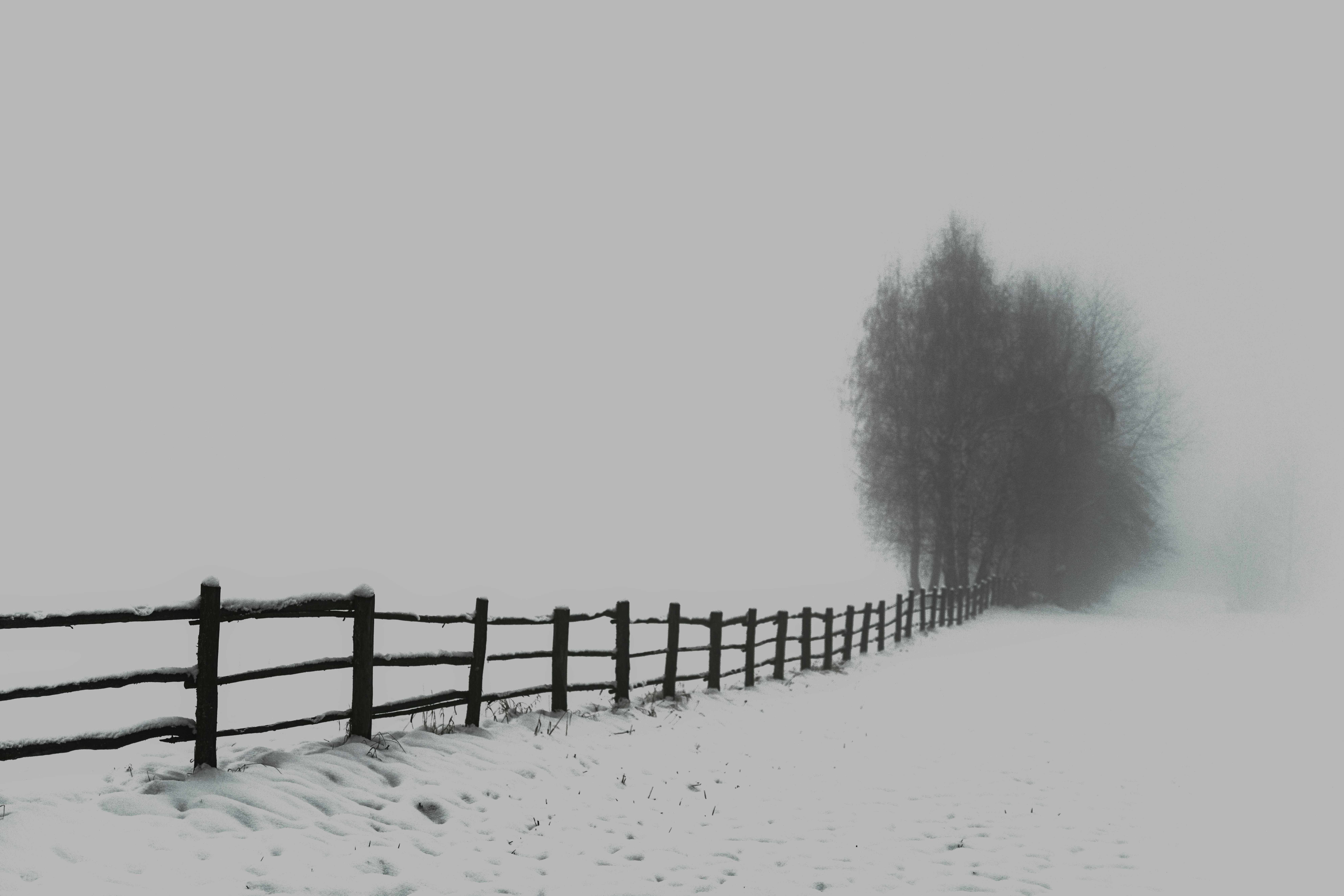 a snow covered field with a fence and a tree