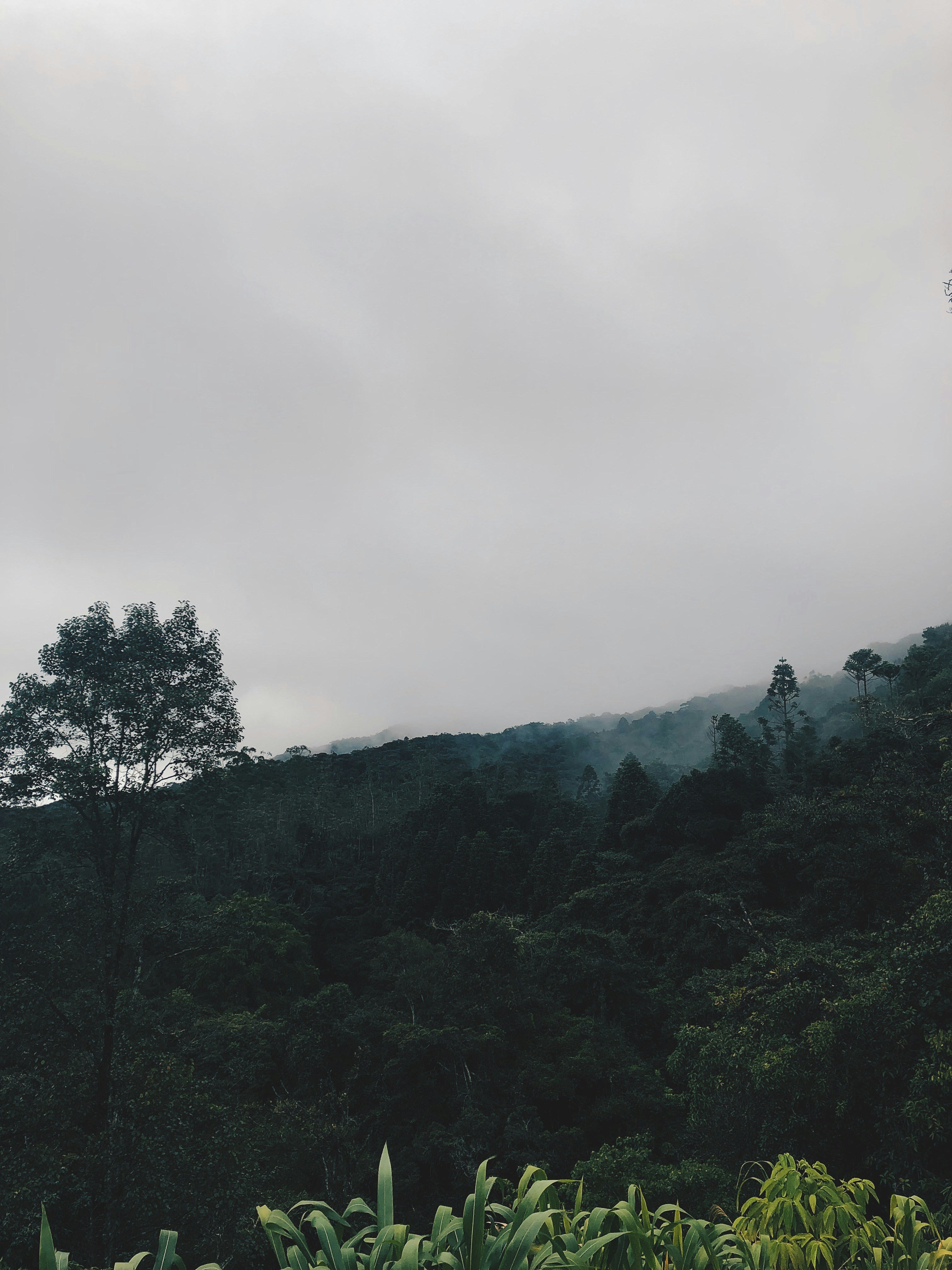 Photo by lukhmanfaris