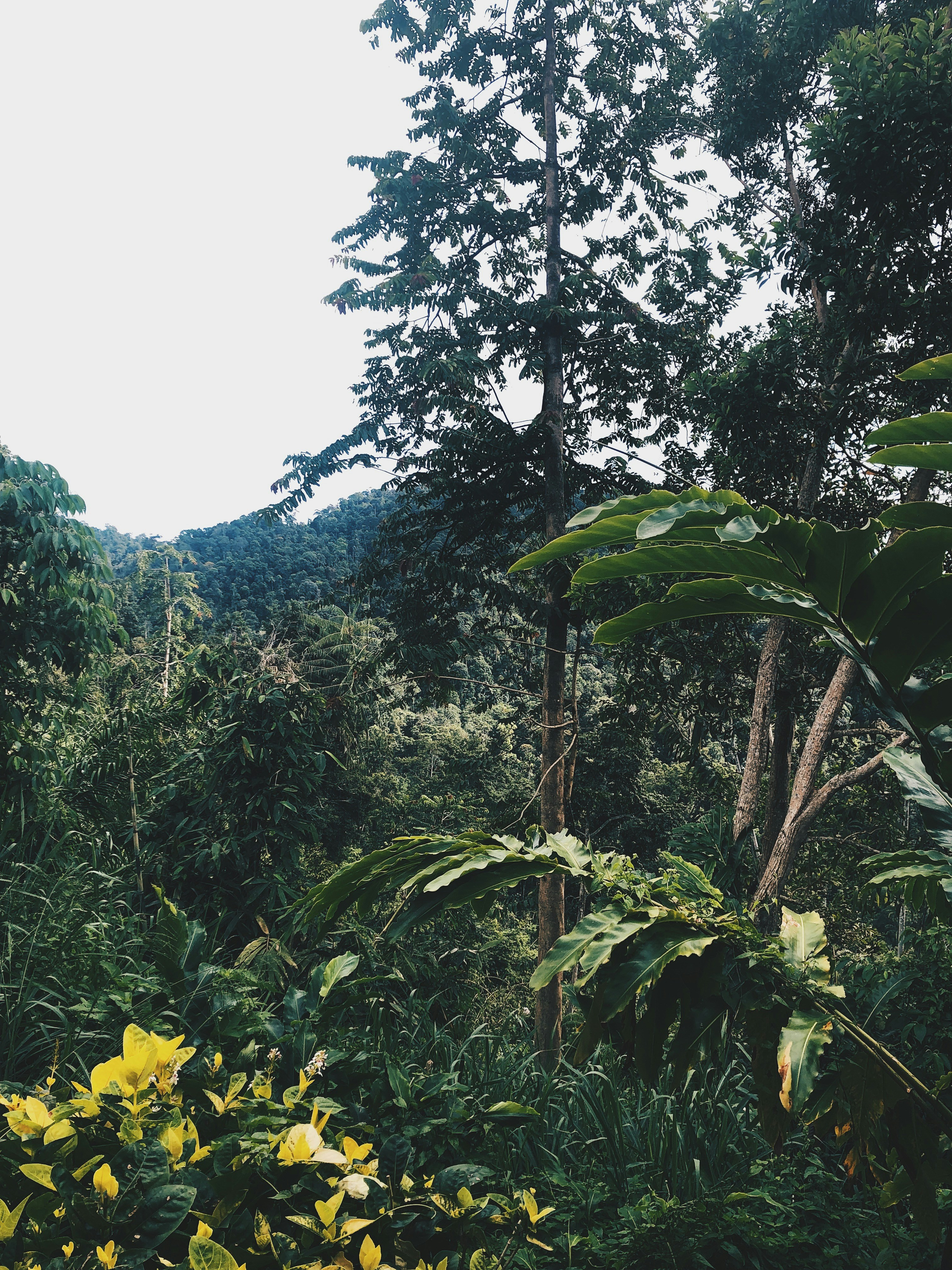 Photo by lukhmanfaris