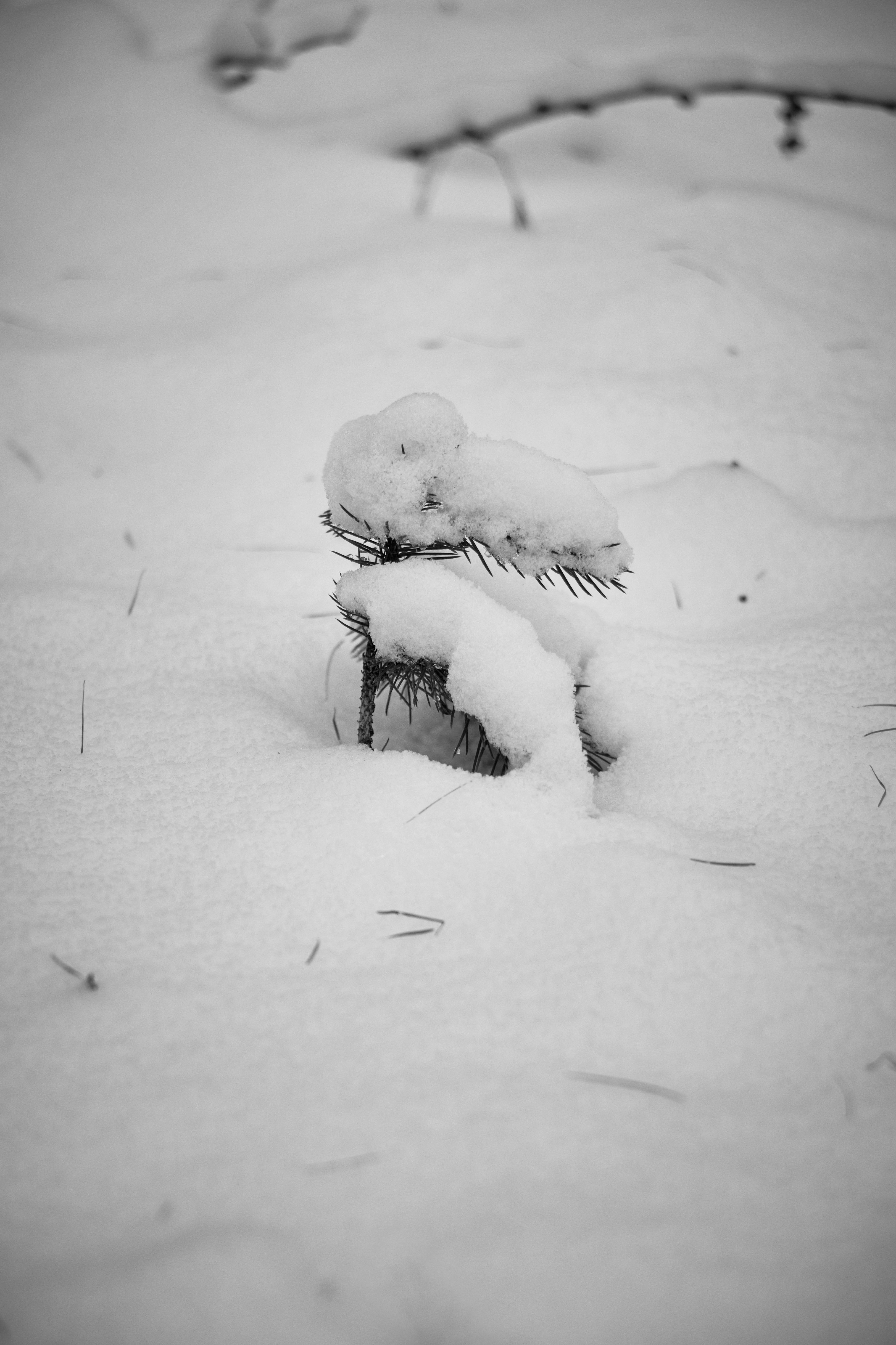 a pile of snow sitting in the middle of a field