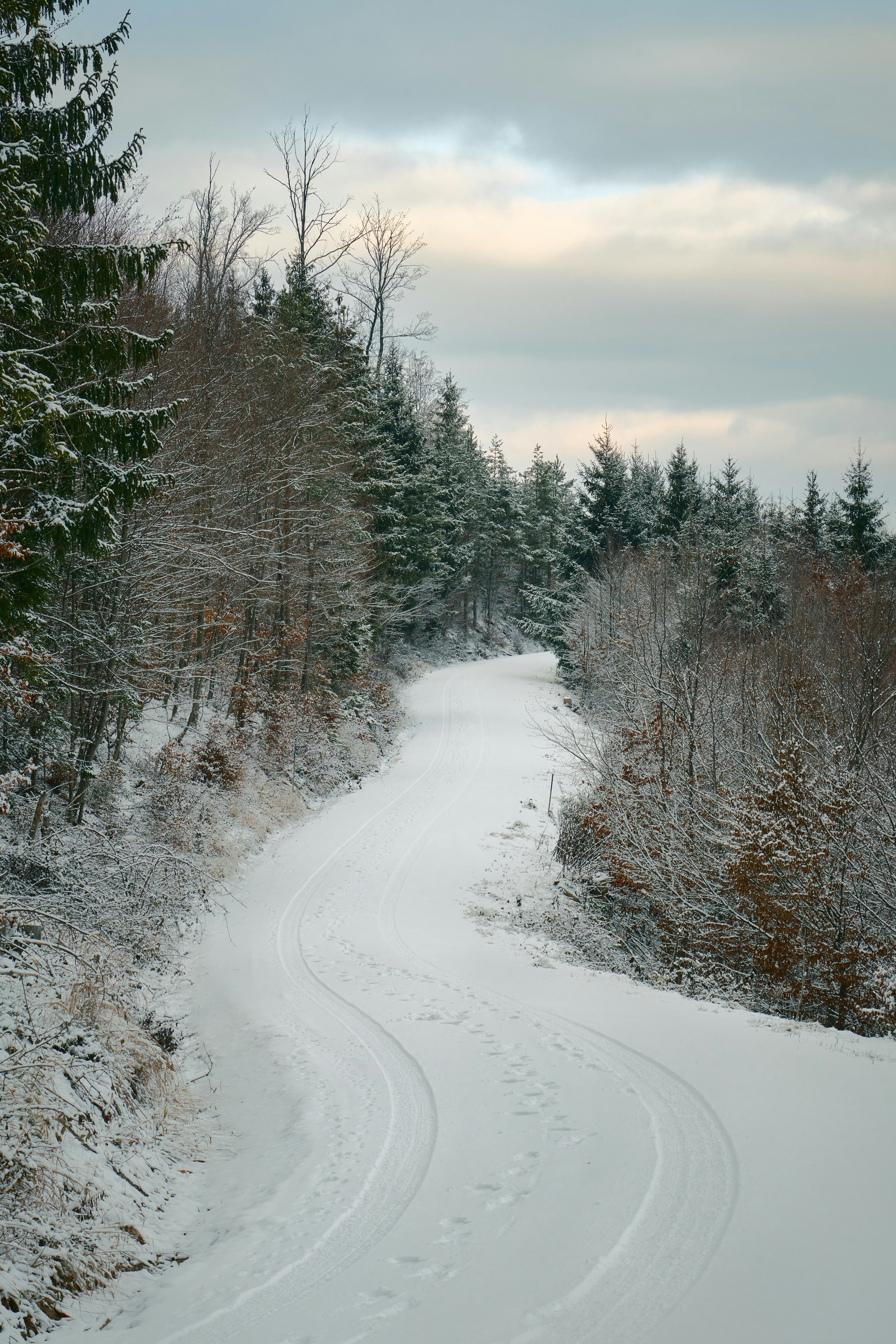a snow covered road in the middle of a forest