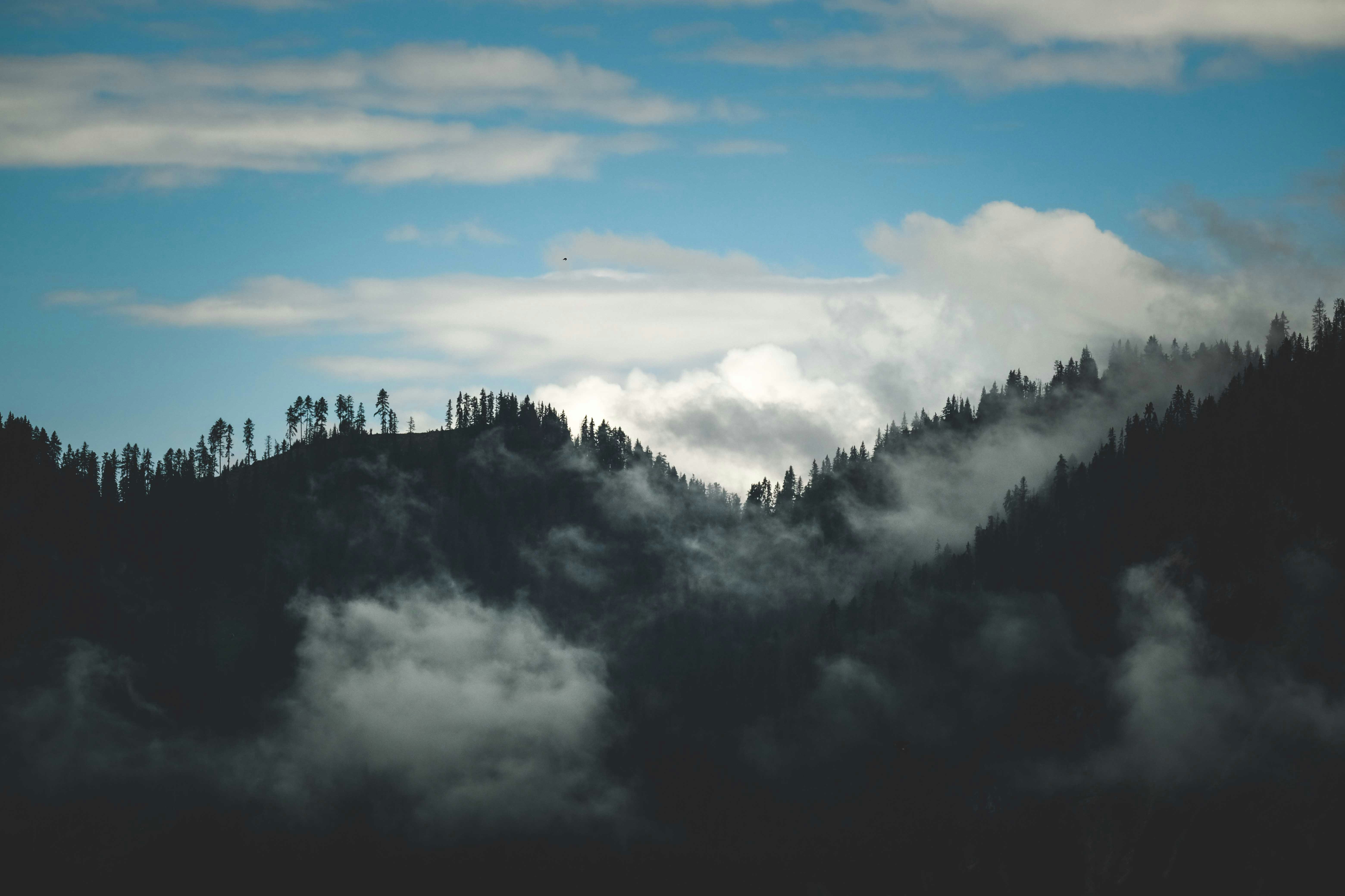 Photo by francesco_ungaro