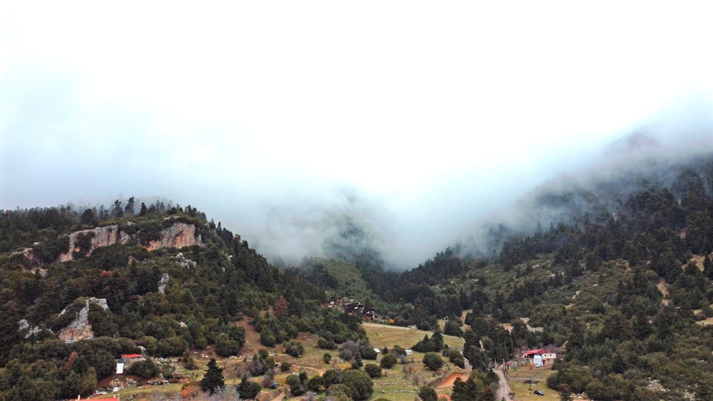 una vista de una montaña con muchos árboles en la parte superior