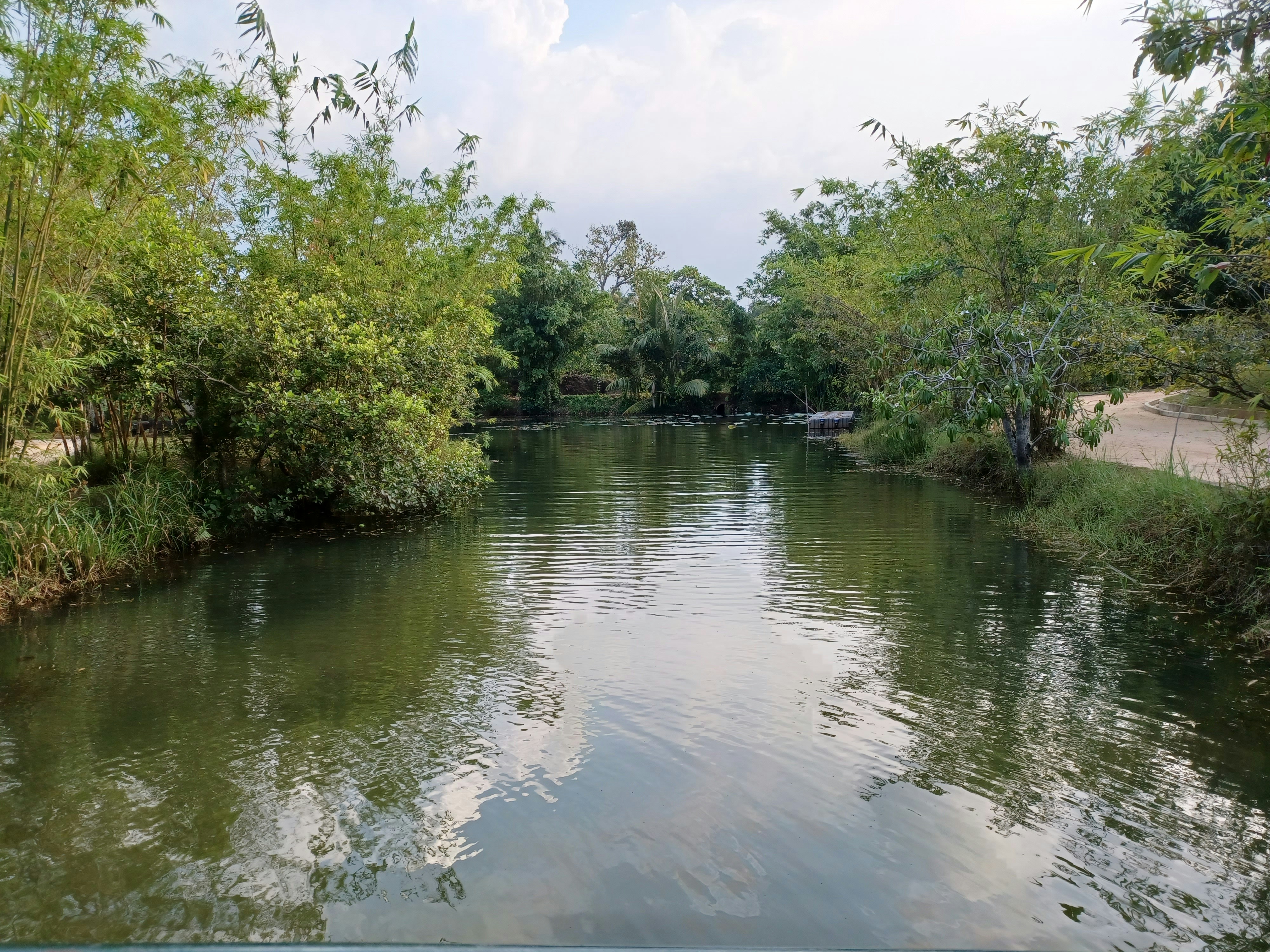 Photo by thevindu_19