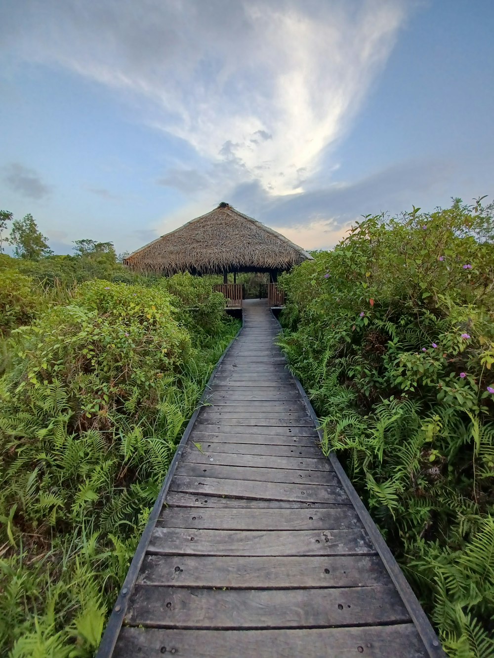 a wooden walkway leading to a thatched roof hut