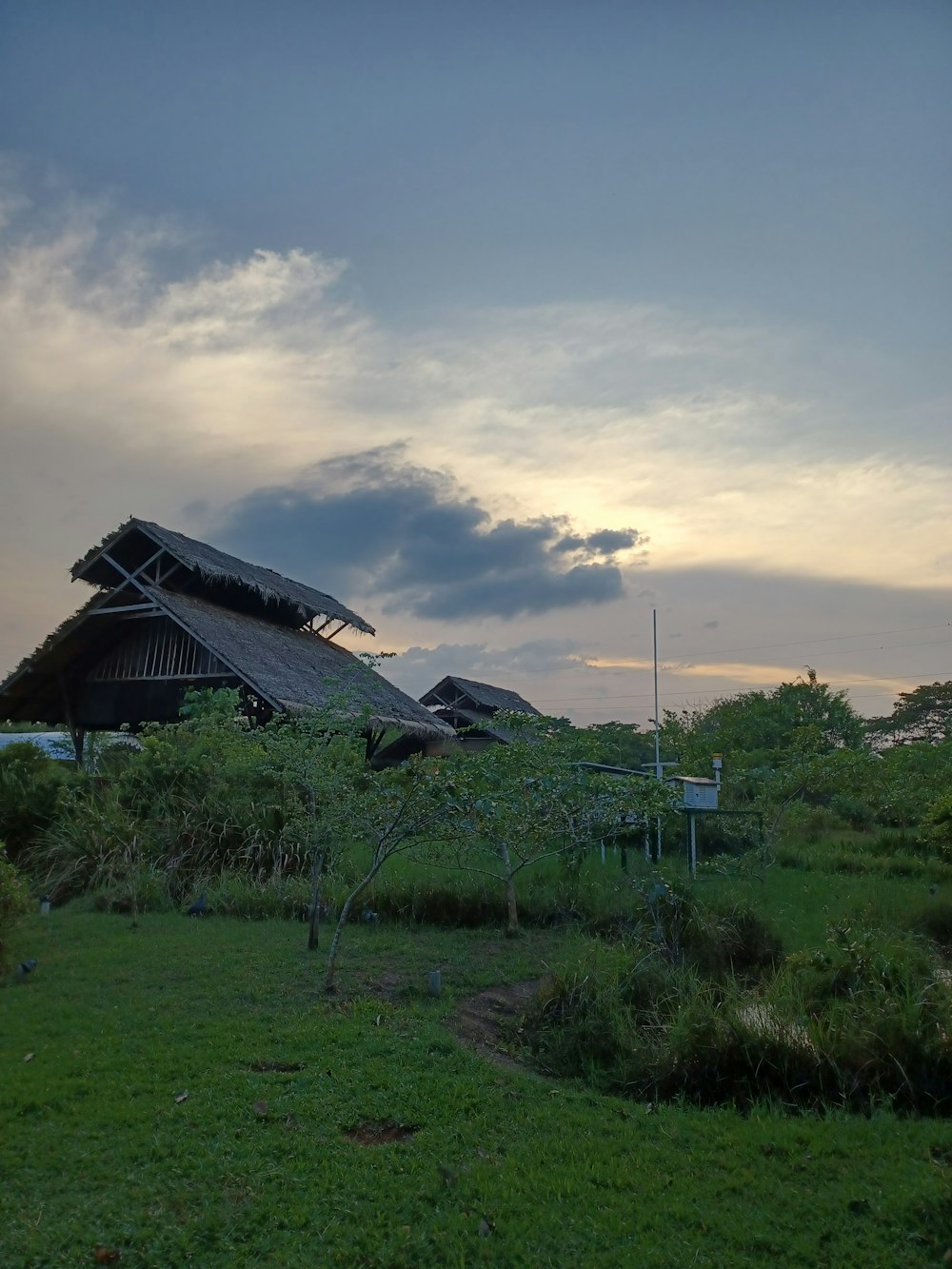 a grassy field with a building in the background