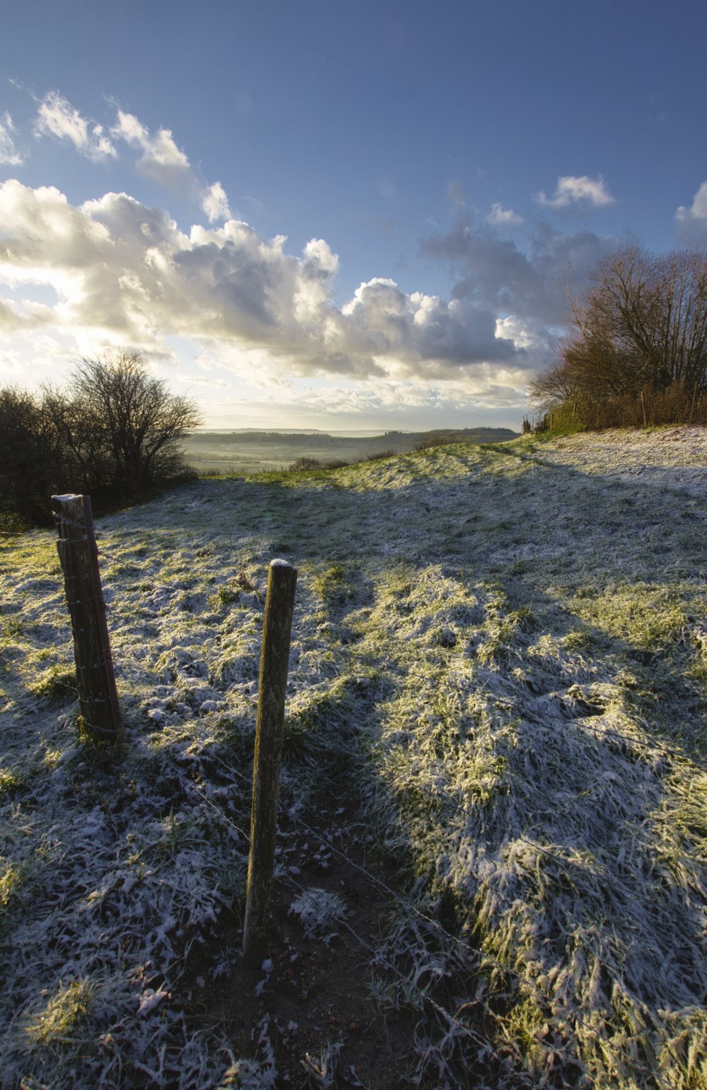 a field covered in snow next to a forest