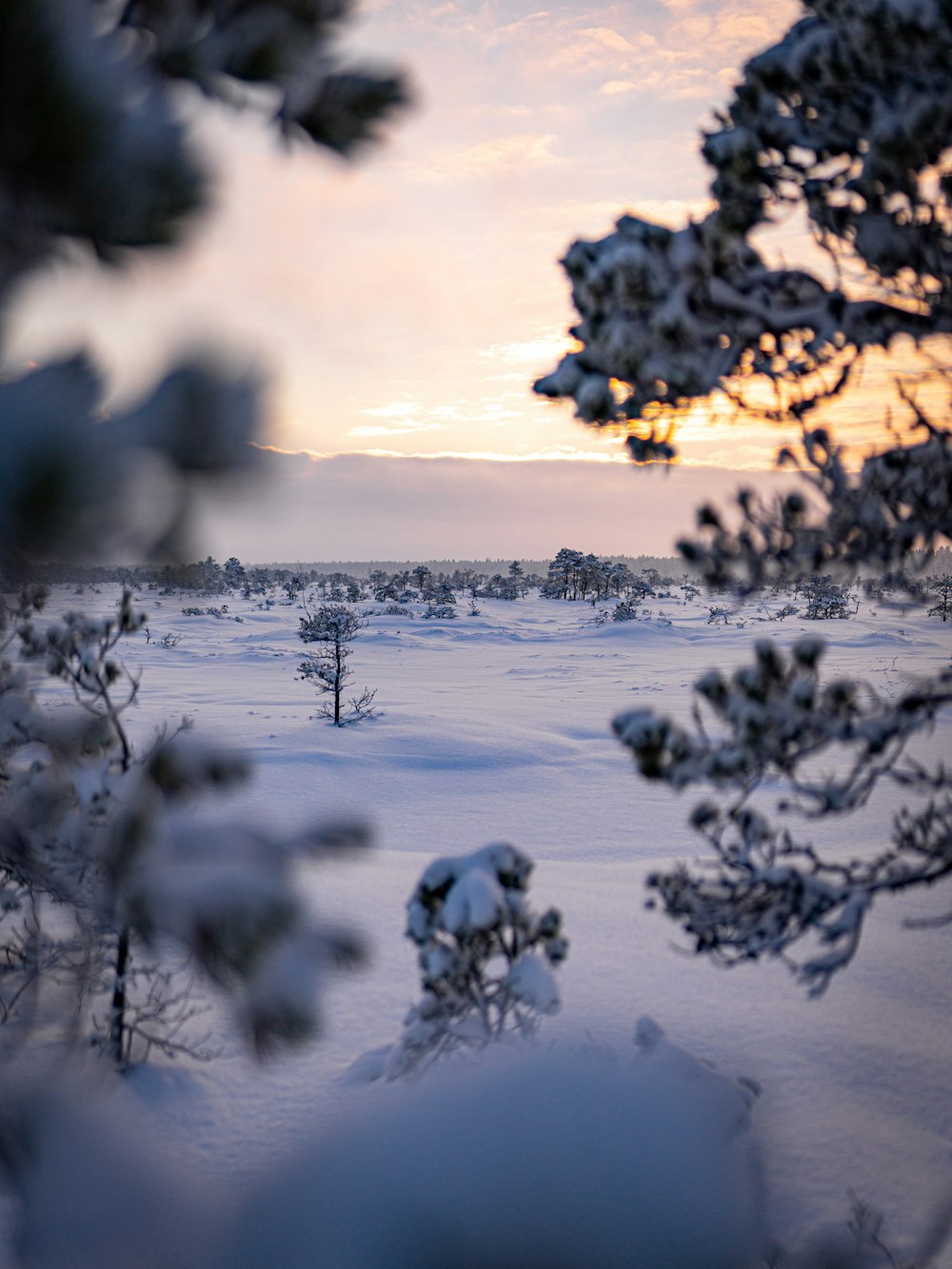 a snow covered field with trees in the distance