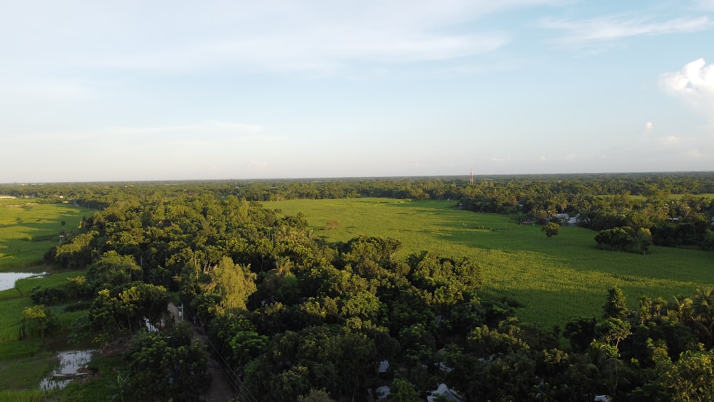 an aerial view of a lush green field surrounded by trees