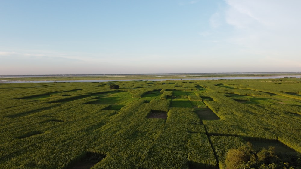 an aerial view of a field with a river in the distance