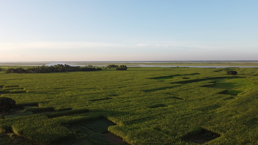 an aerial view of a large grassy field