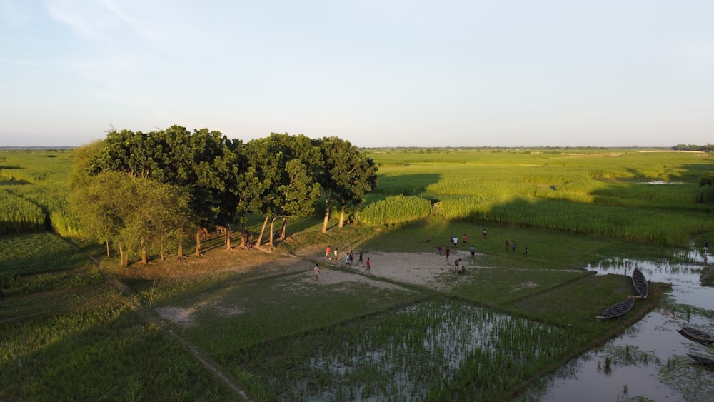 a group of people standing on top of a lush green field