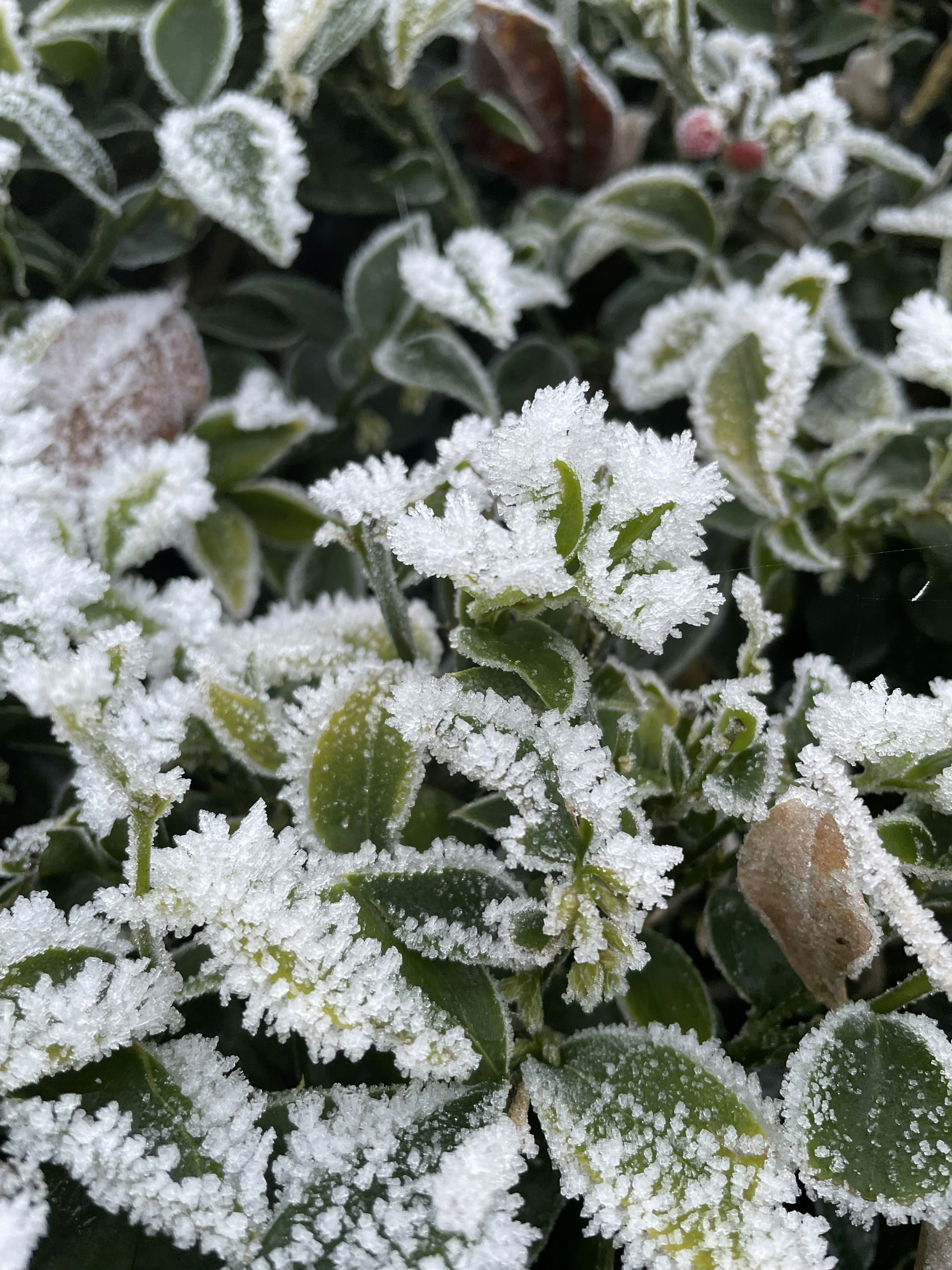 Photo by s_haigh2010