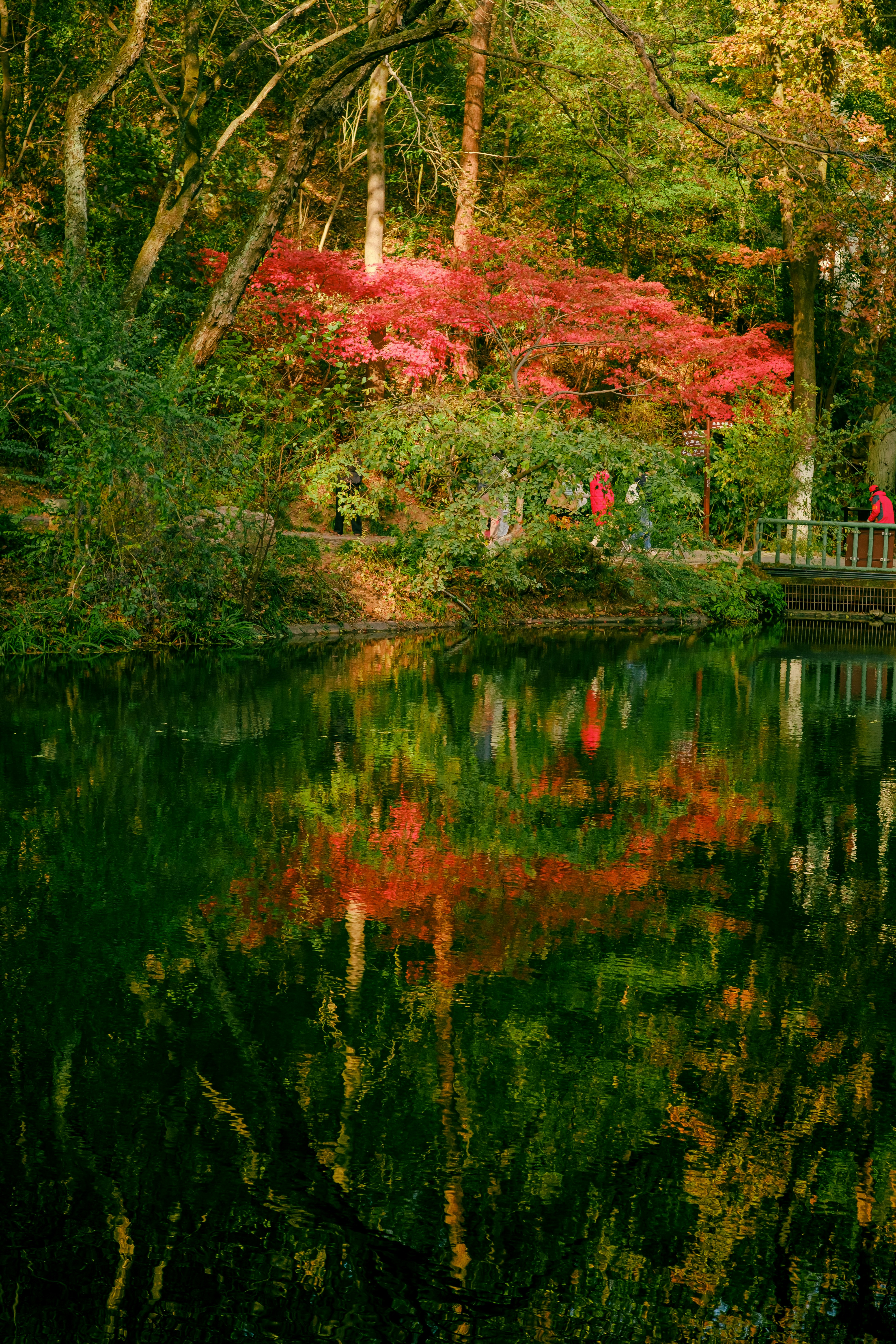 Photo by xiexianghua