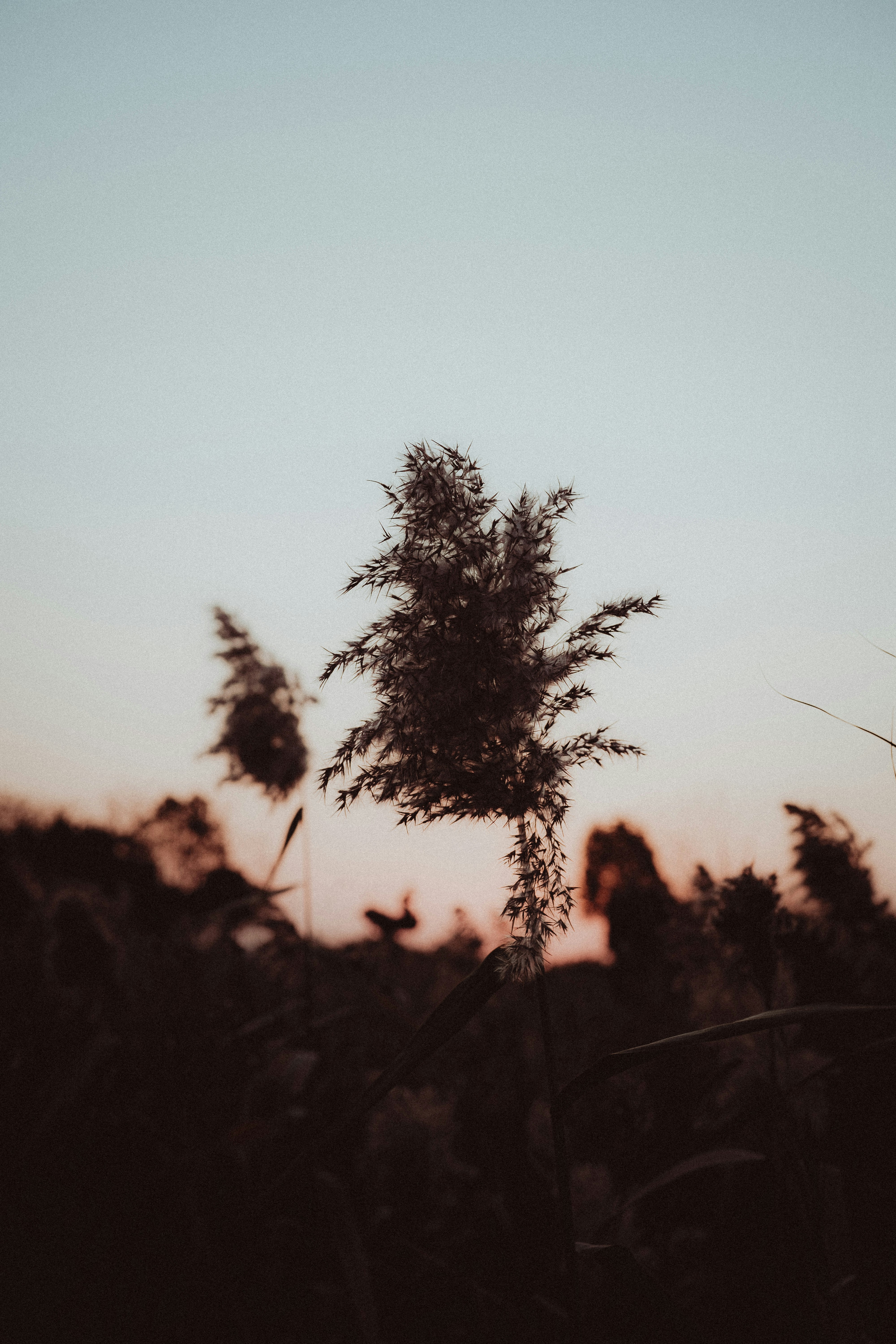 Photo by xiexianghua