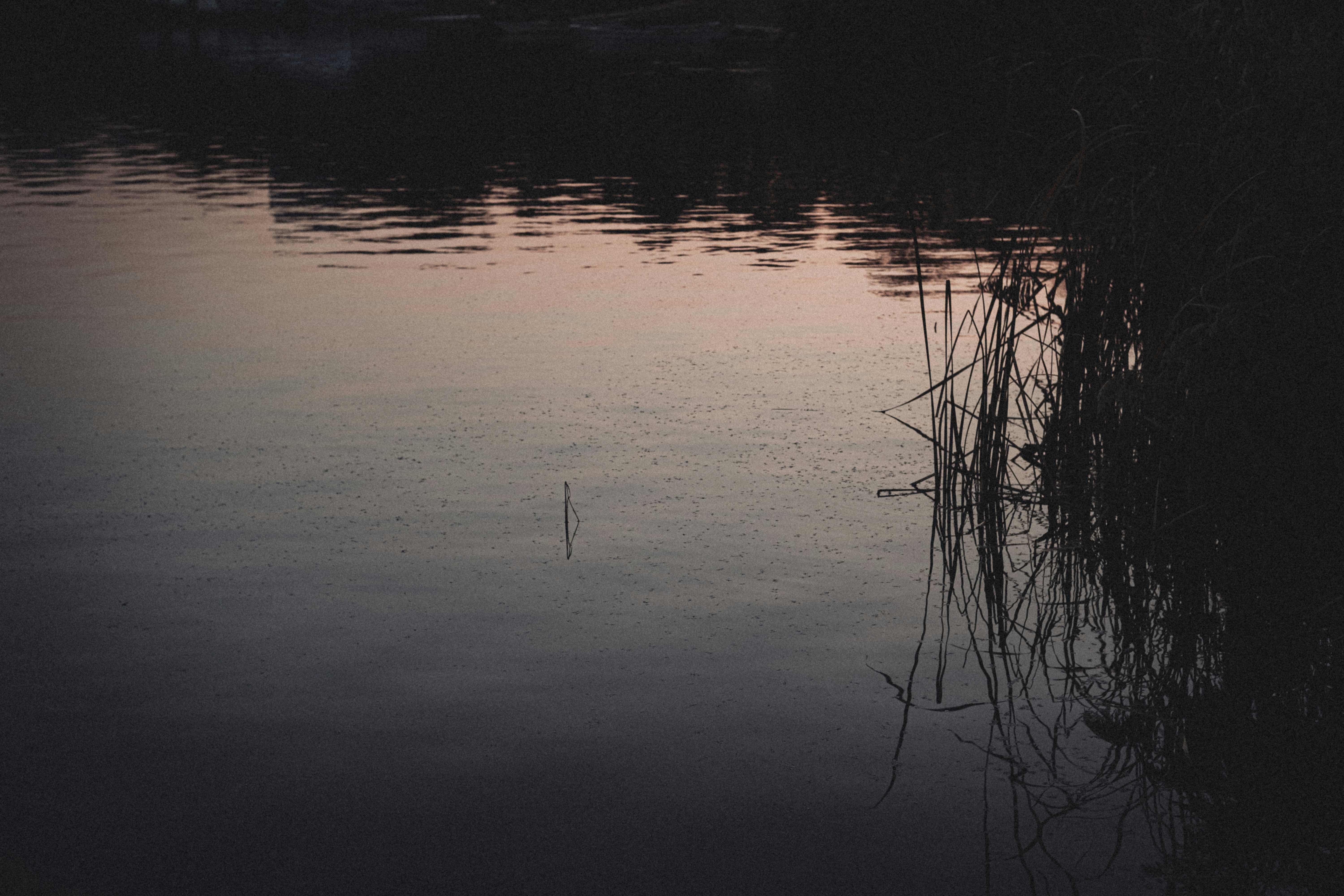 Photo by xiexianghua