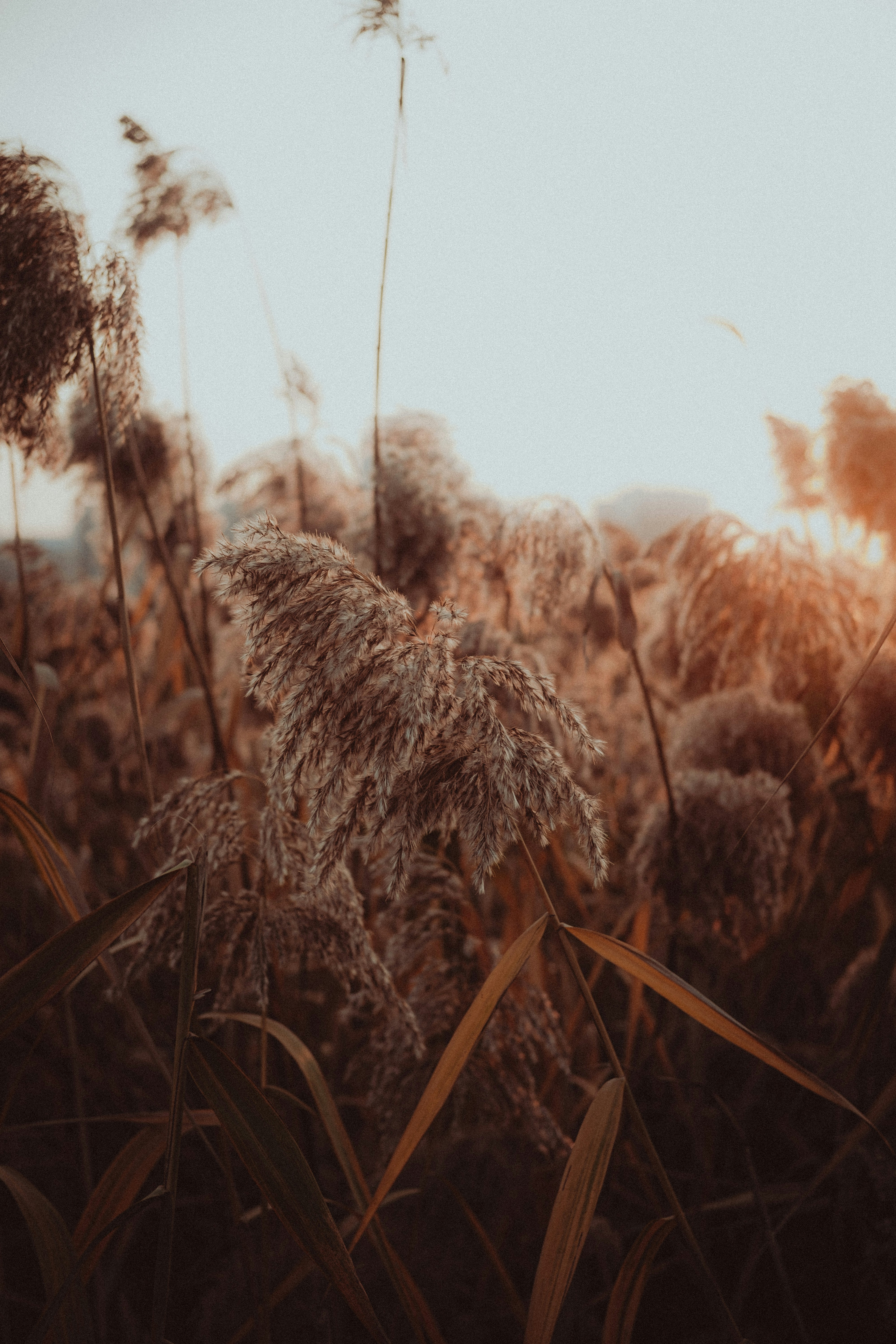 Photo by xiexianghua