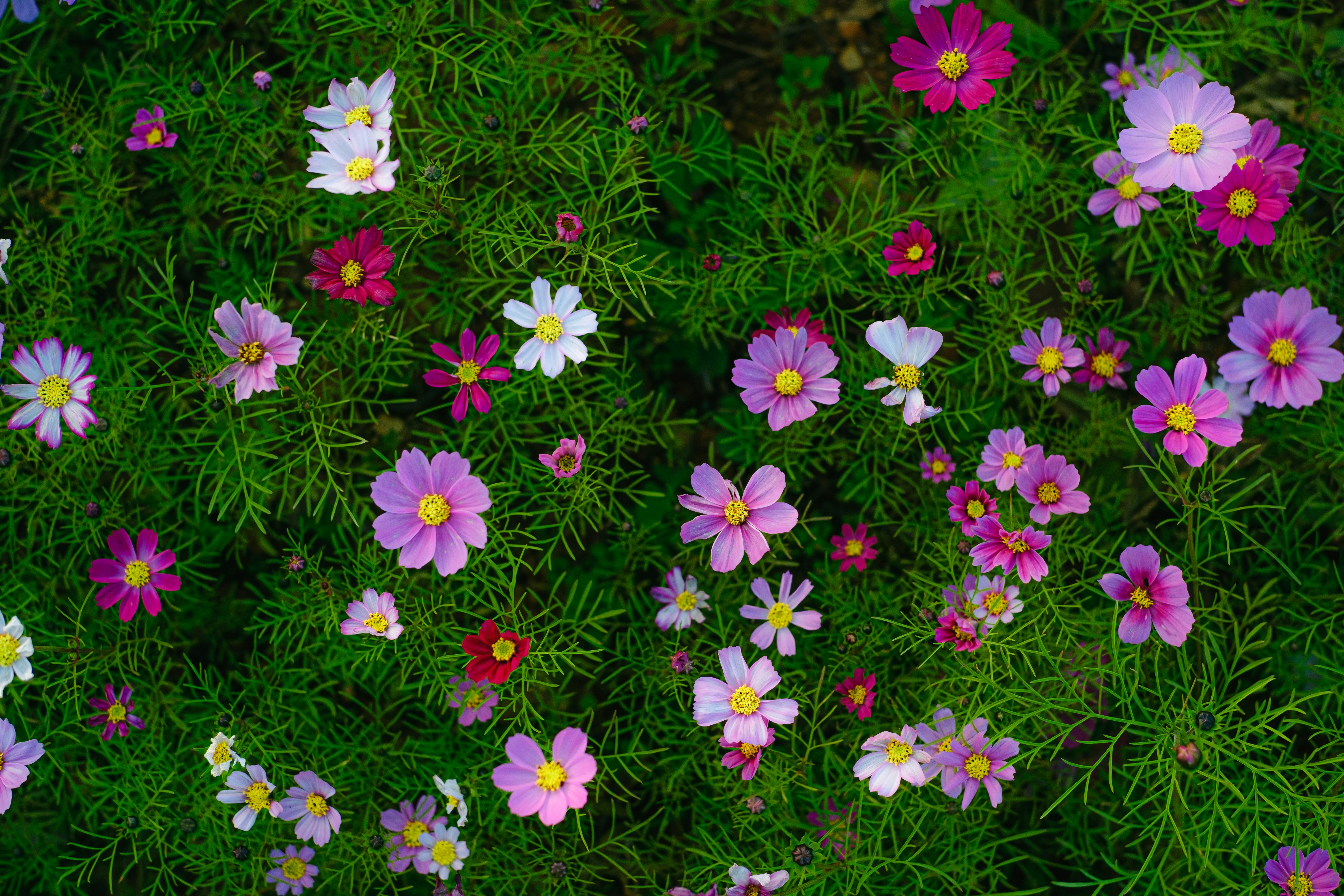 Photo by xiexianghua