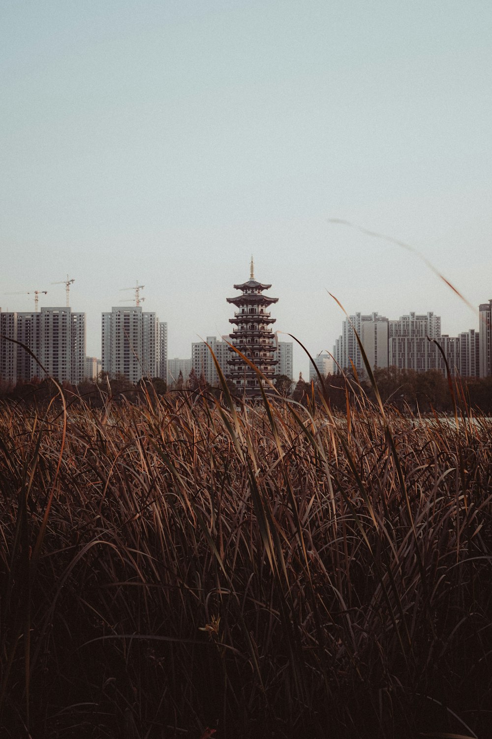 a tall tower in the middle of a field