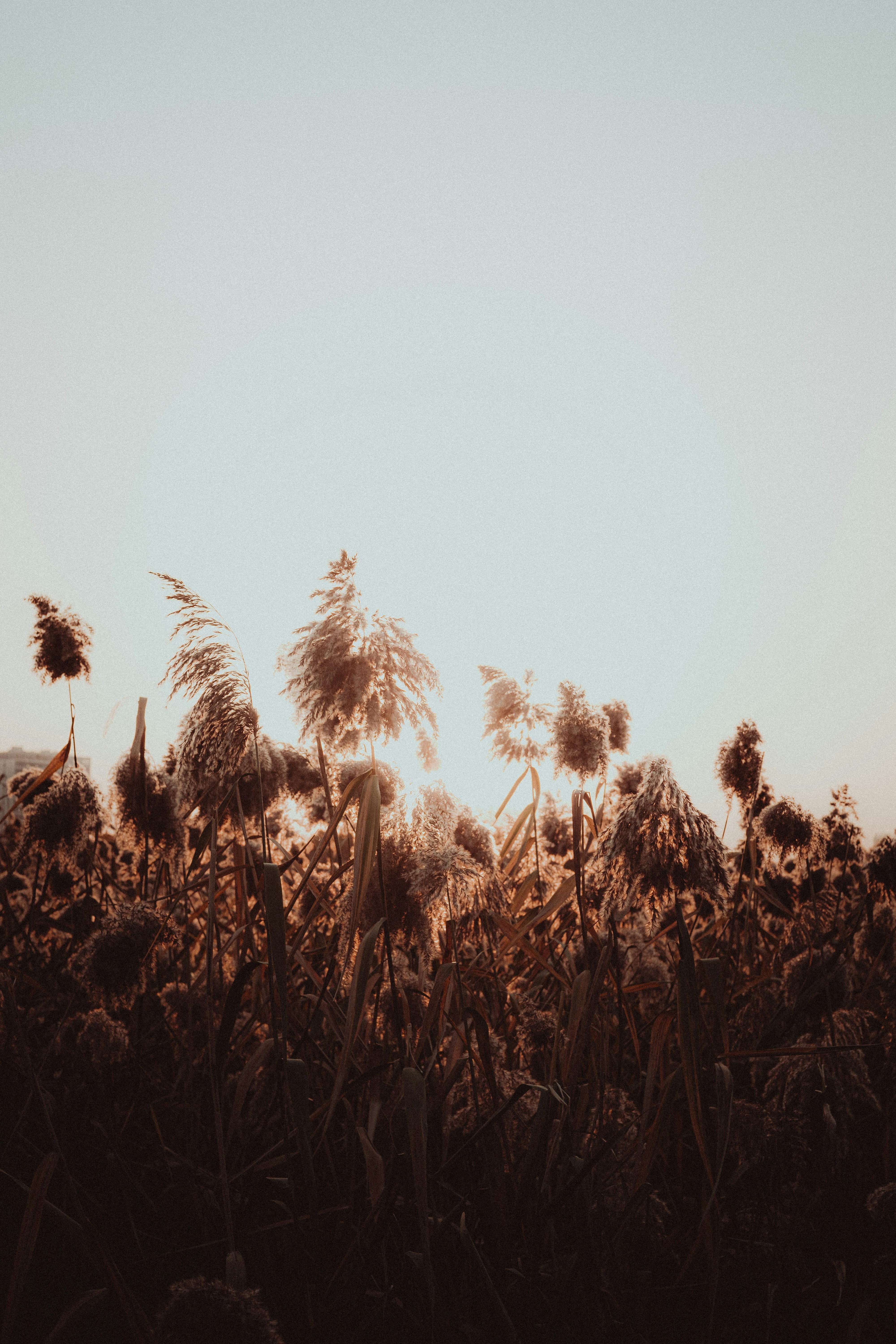 Photo by xiexianghua