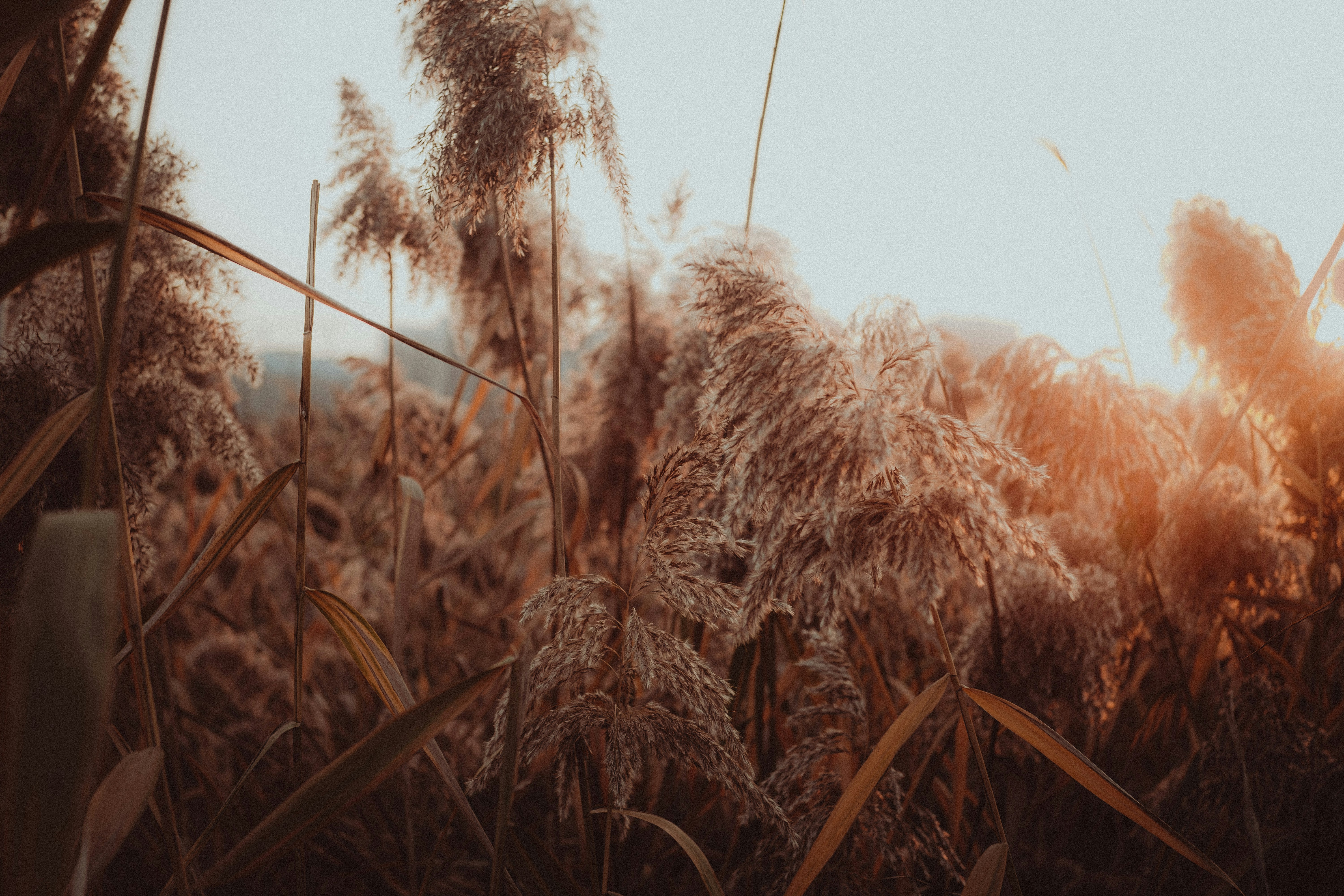 Photo by xiexianghua