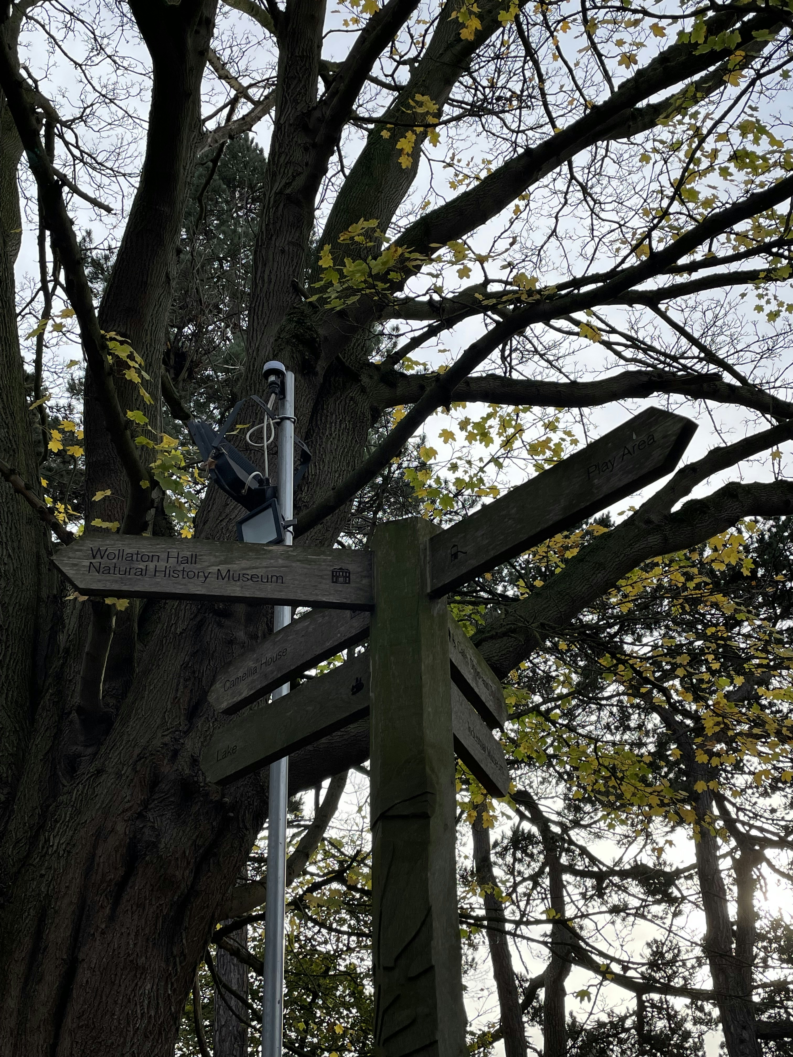 Liverpool's Unexpected Defeat Against Nottingham Forest