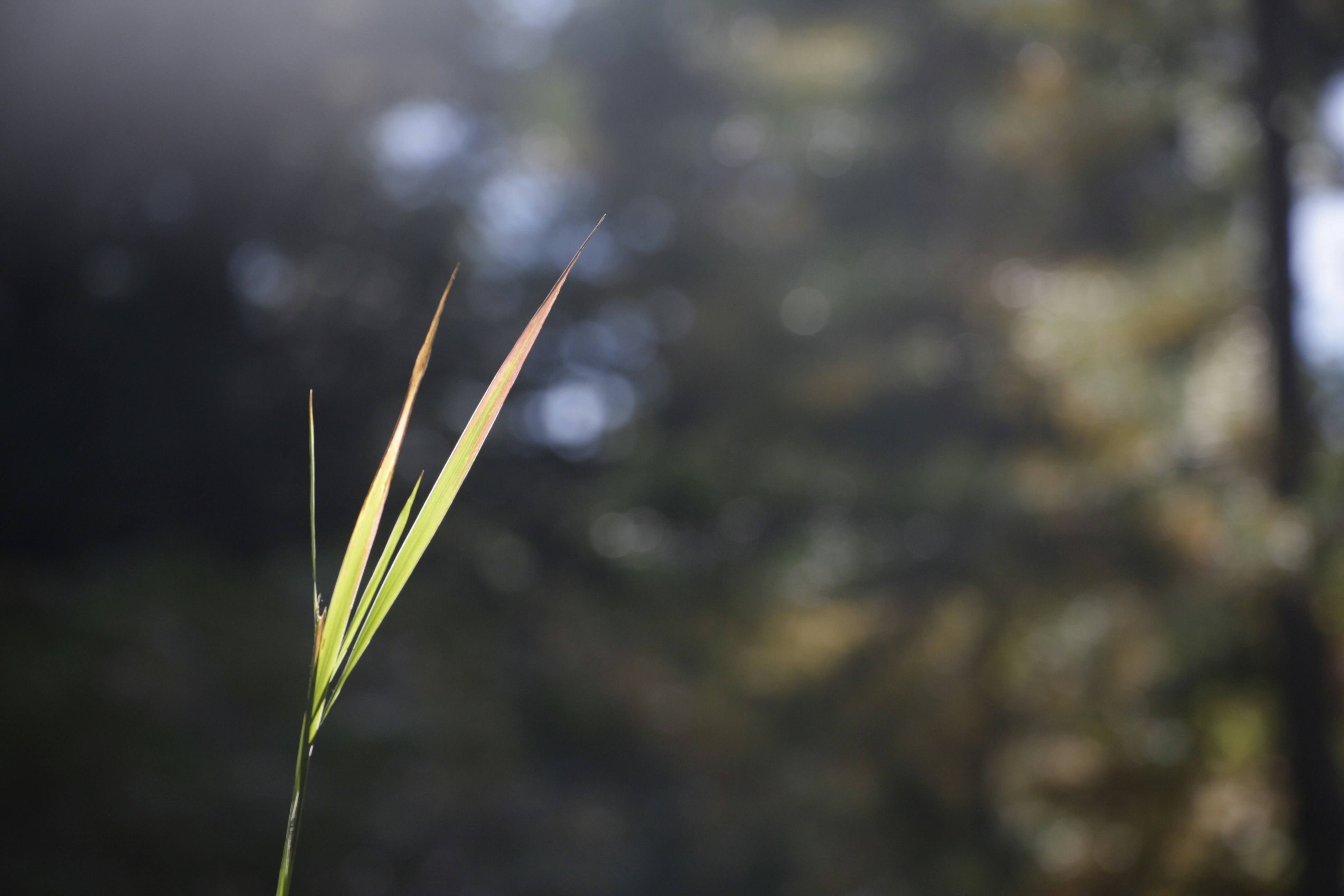 Photo by elcharthorne