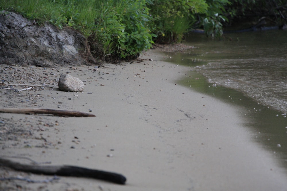 a sandy beach next to a body of water