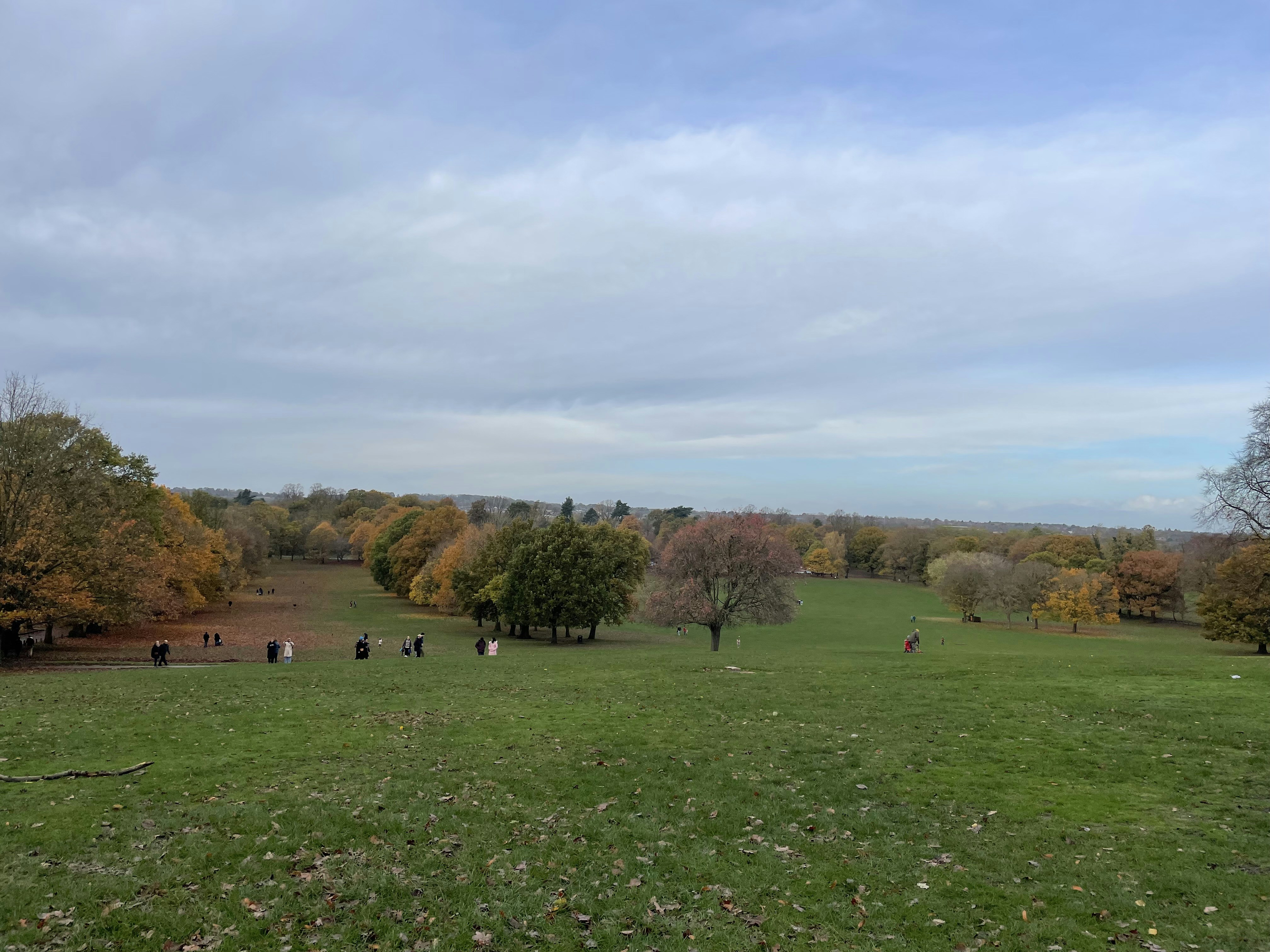 Photo by delfintursin