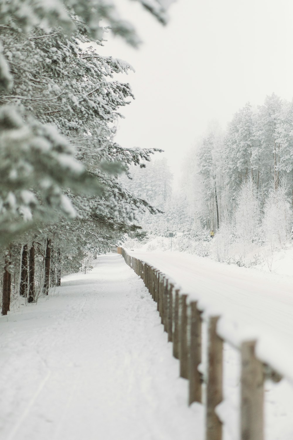 a snow covered road with a fence and trees
