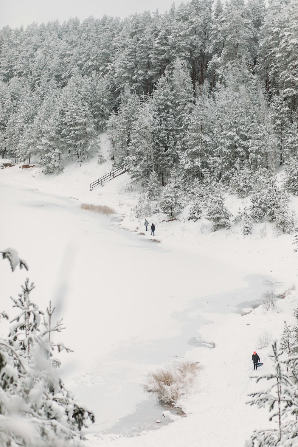 a group of people walking across a snow covered forest
