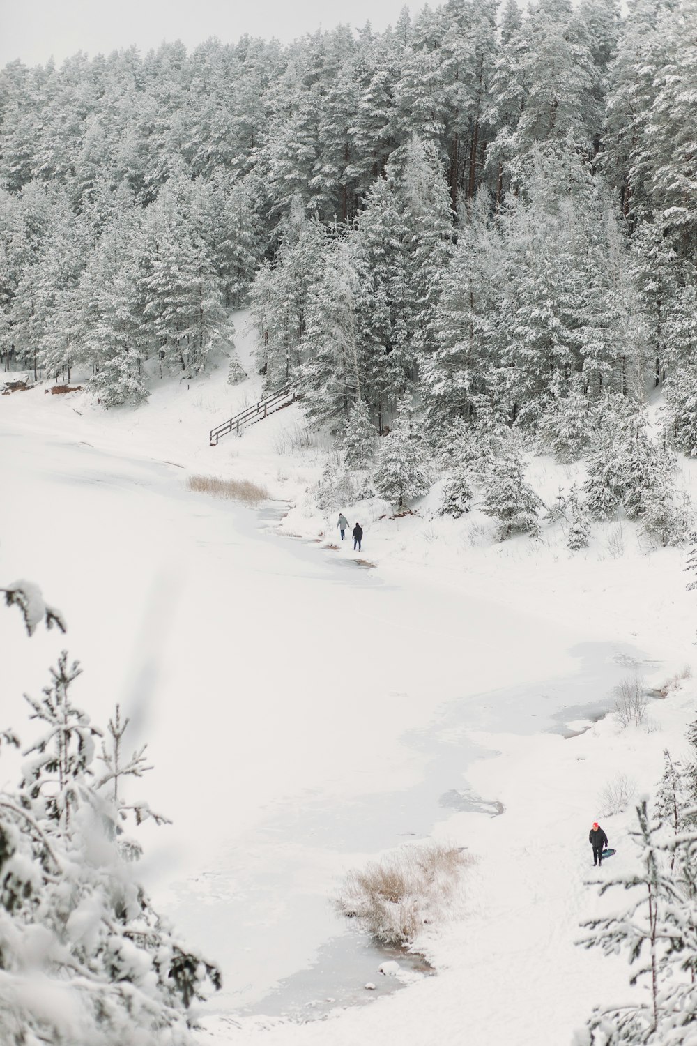 Un gruppo di persone che camminano attraverso una foresta innevata