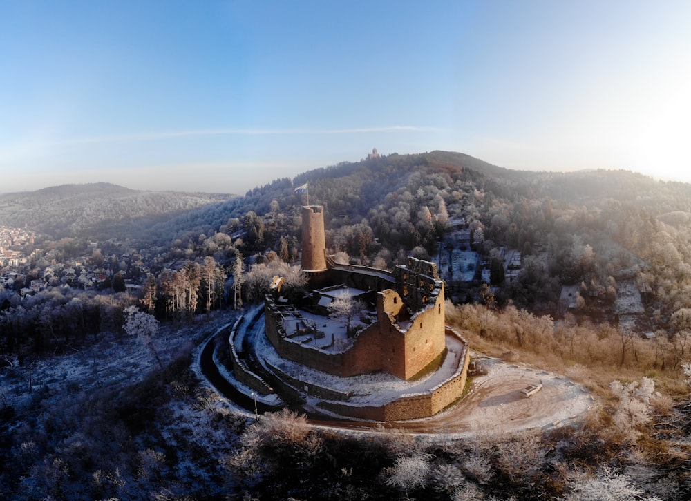 an aerial view of a castle surrounded by trees