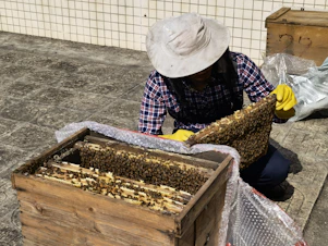 a person kneeling down next to a box filled with bees