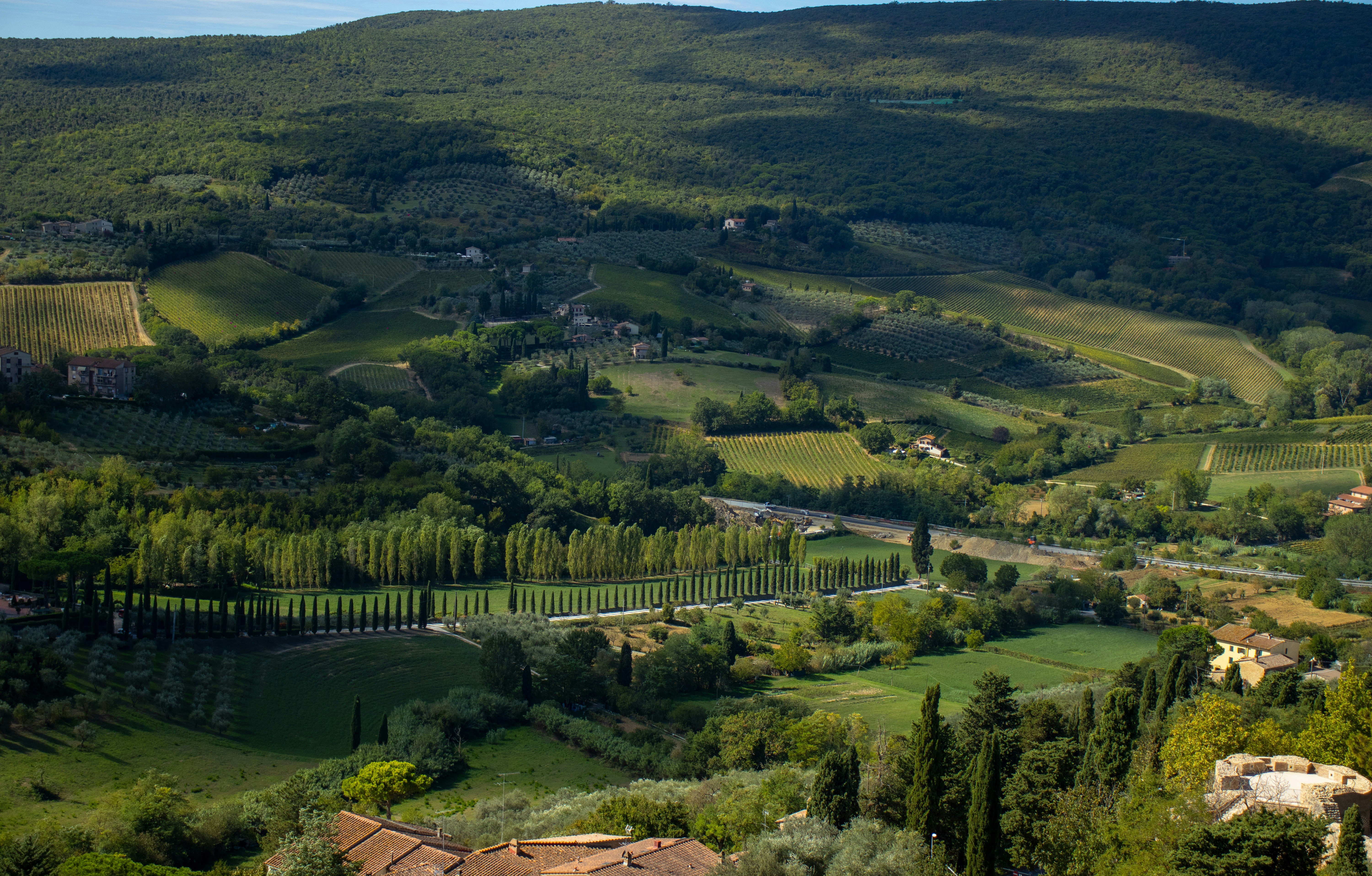 a lush green valley surrounded by lush green hills