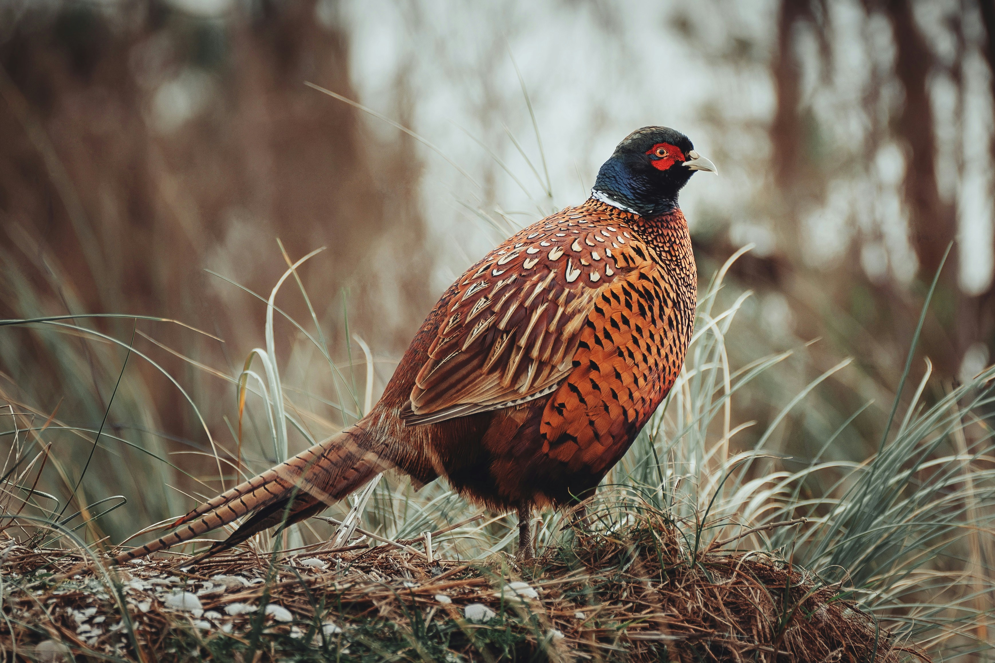 Photo by sinusfiction