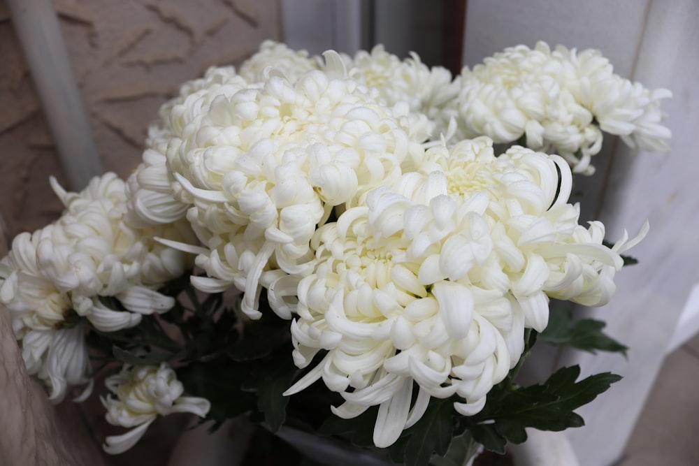a bunch of white flowers sitting in a vase