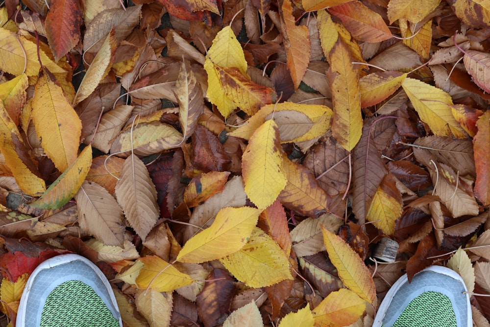 a person standing in a pile of leaves