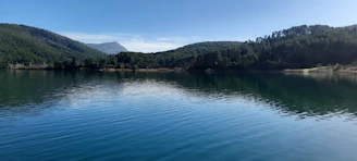 A peaceful lake reflecting a soft green forest under a clear sky, evoking tranquility.